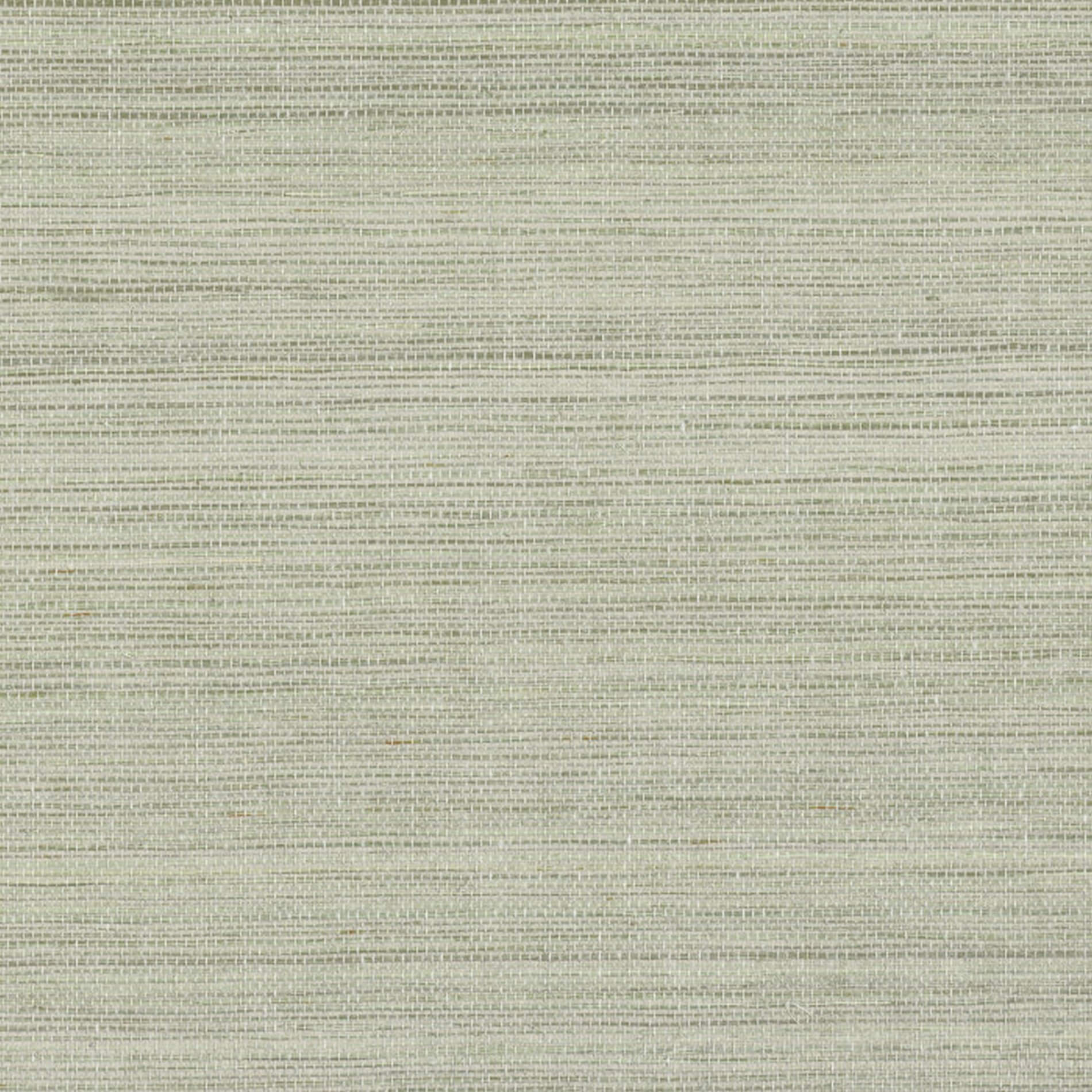 Strukturierte Tapete aus Pflanzenfaser PICTA - PIERRE BLEUE salbeigrün