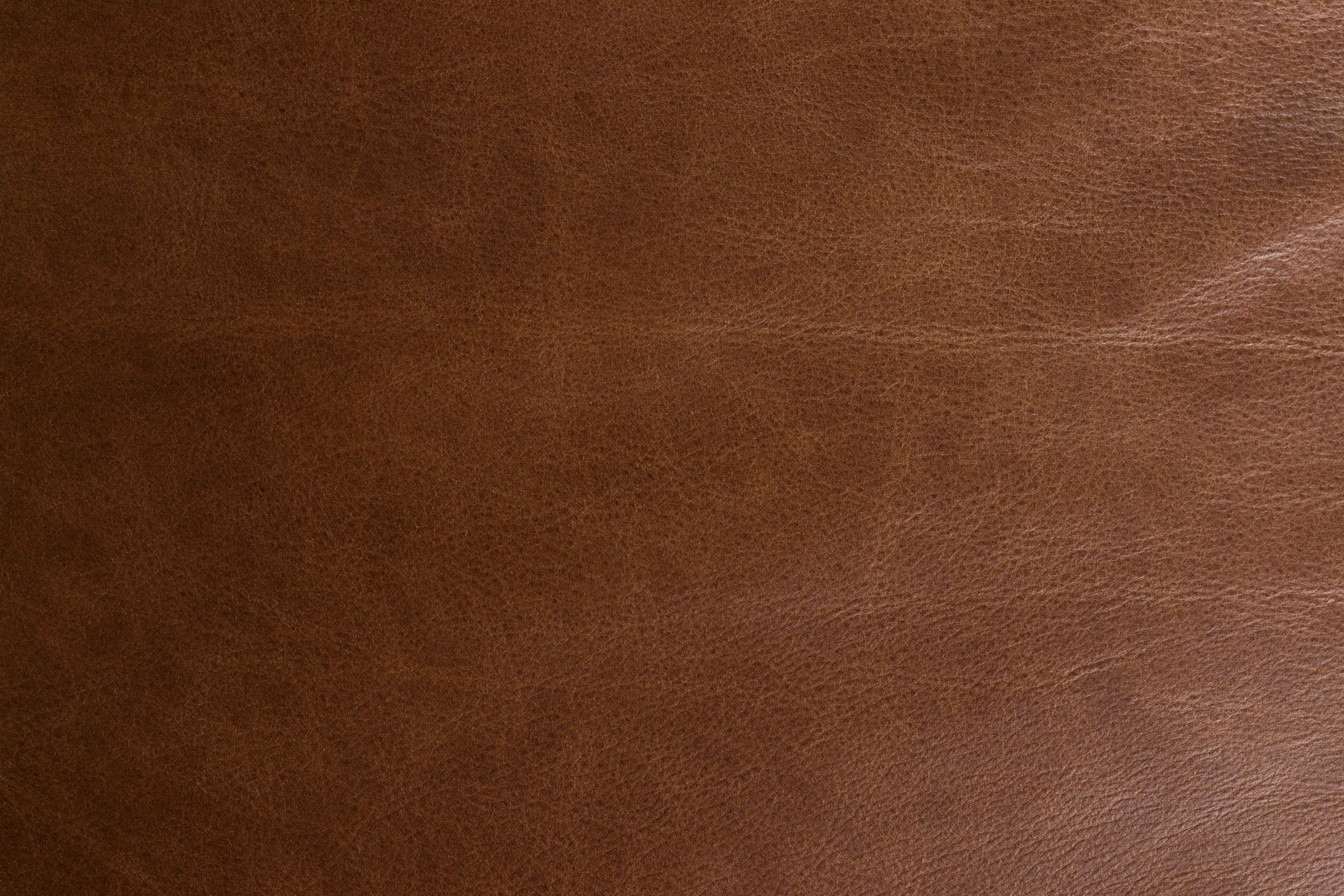 DOUGLAS Sofa chocolate leather