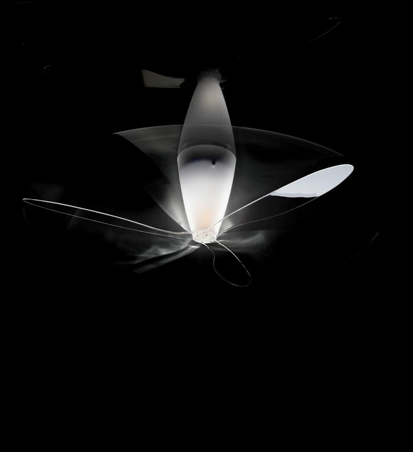 Plafondlamp BLOW transparant