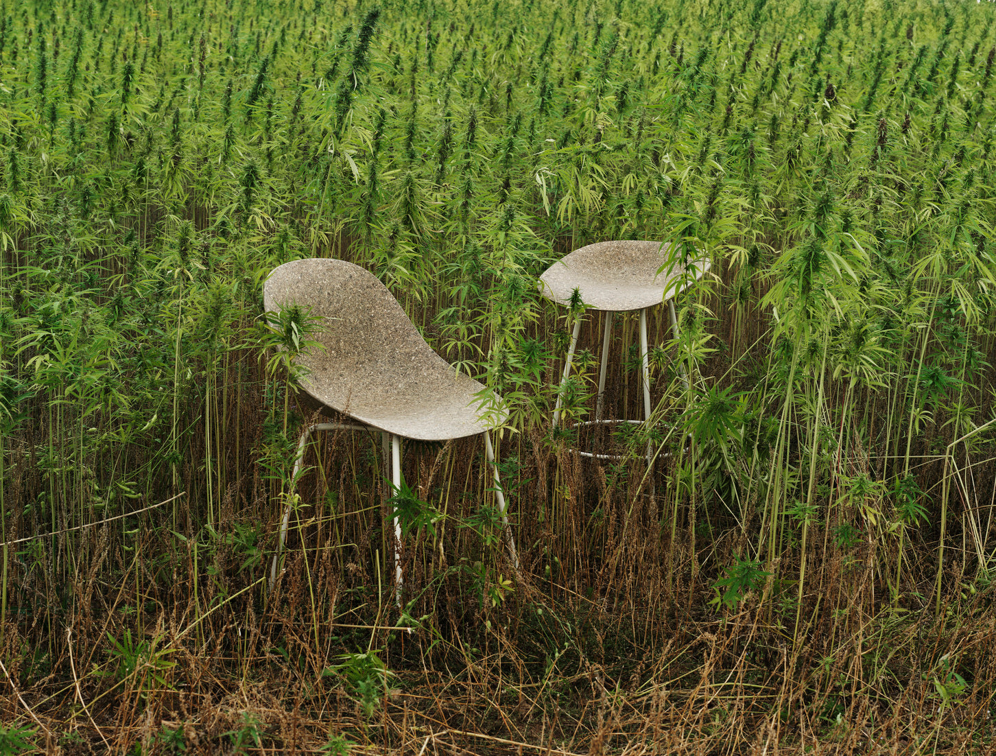Stoel MAT groen met een crèmekleurige basis