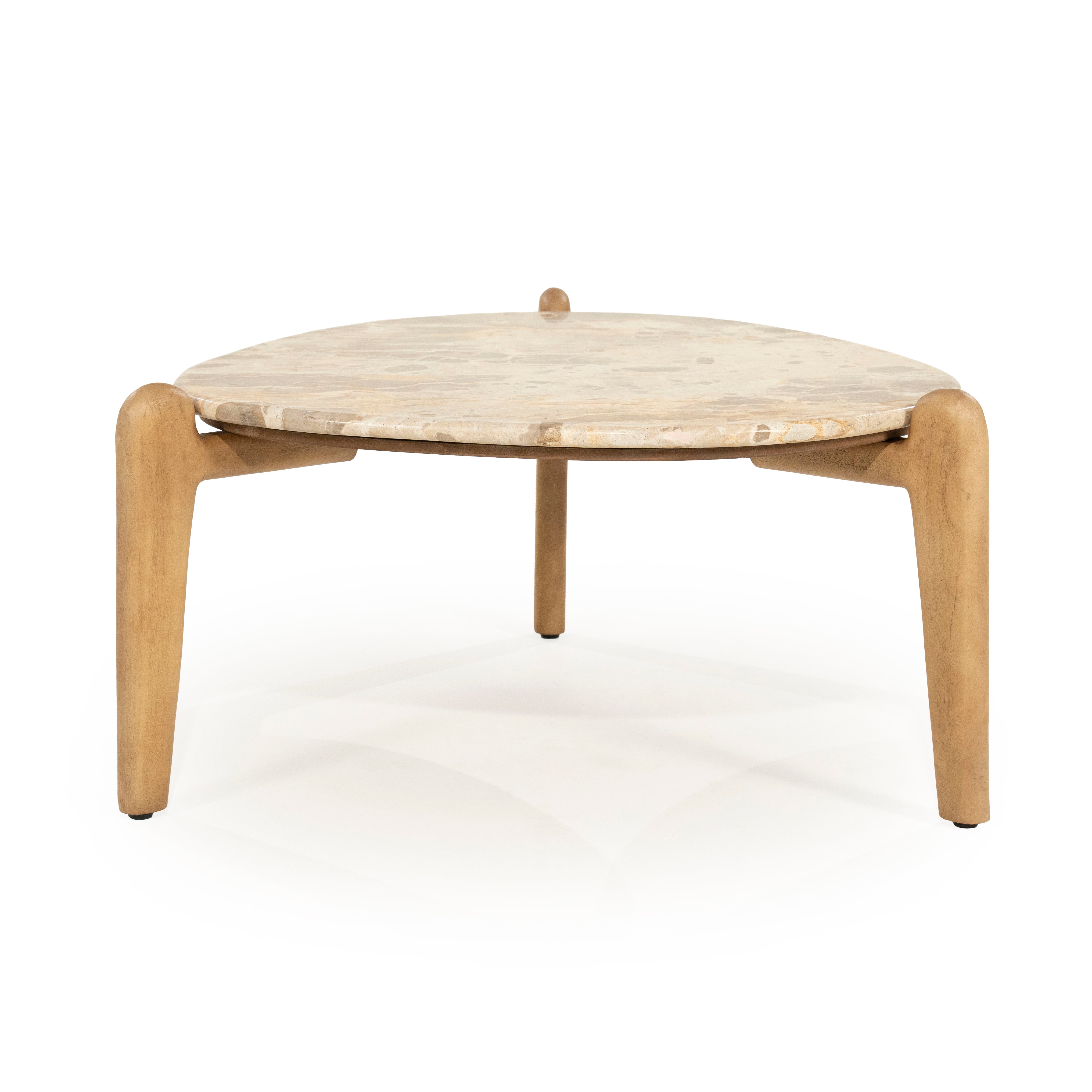 MARNISH coffee table marble with mango wood base