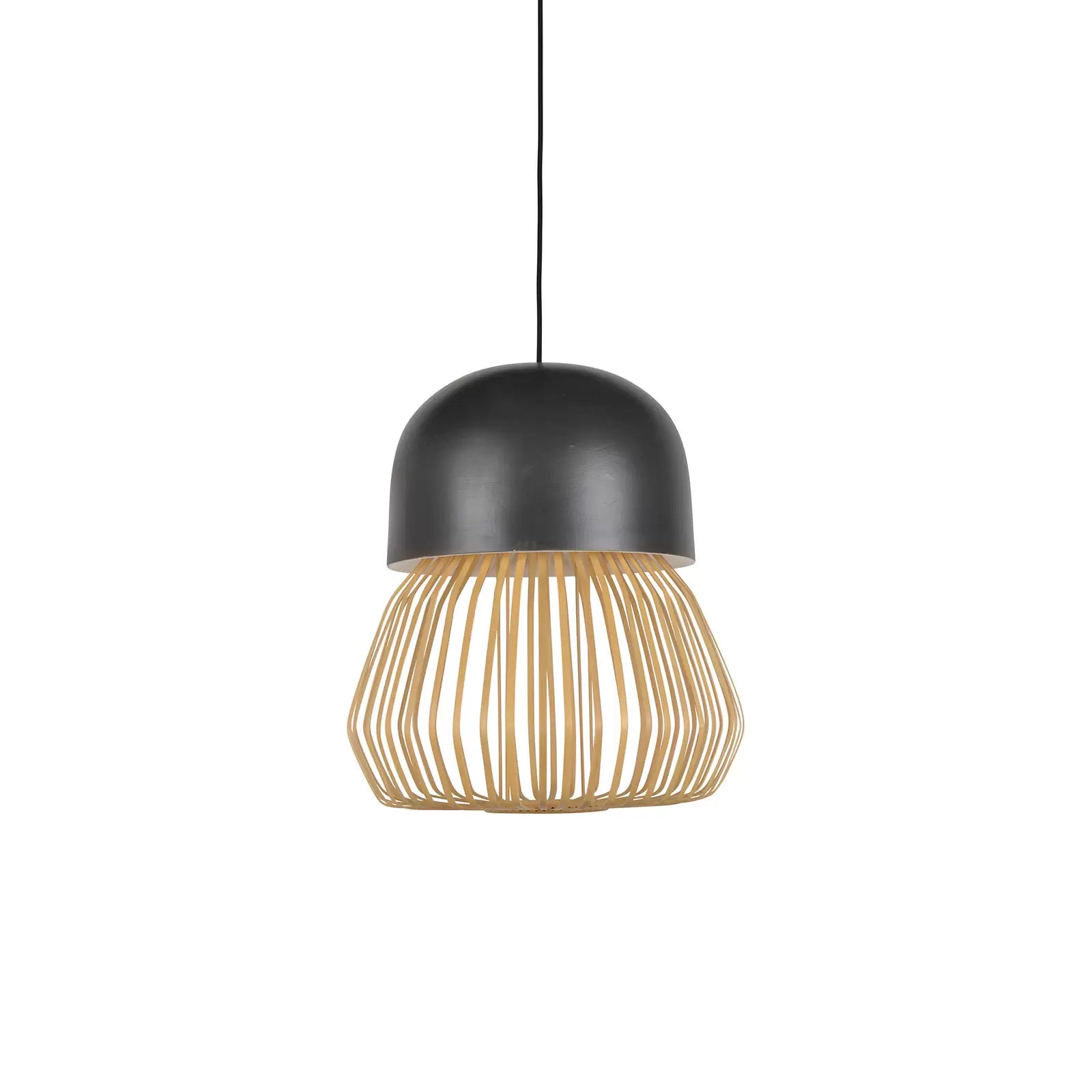 Hanglamp ANEMOS zwart
