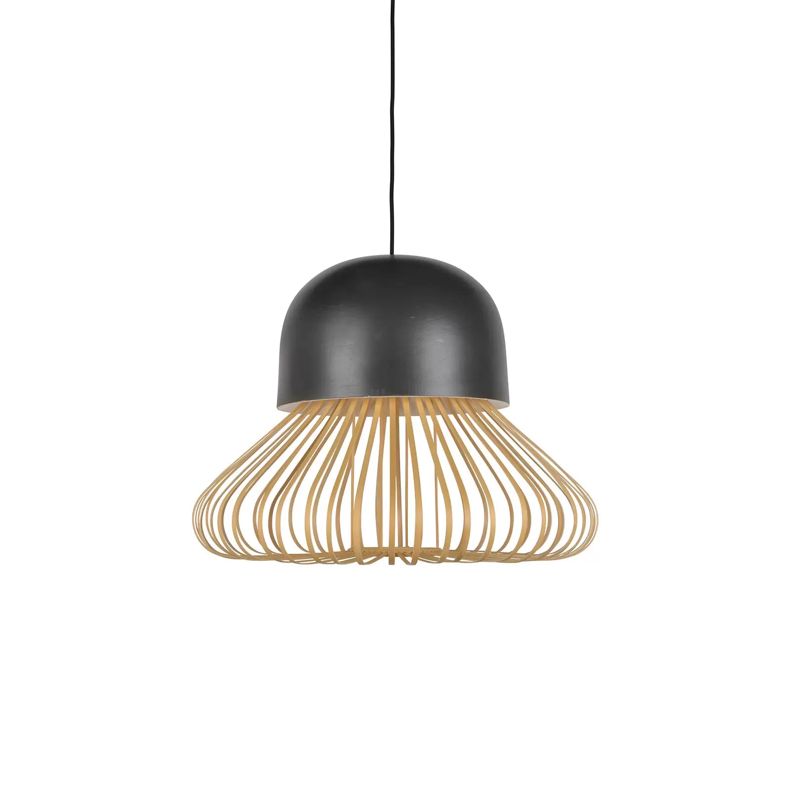 Hanglamp ANEMOS zwart