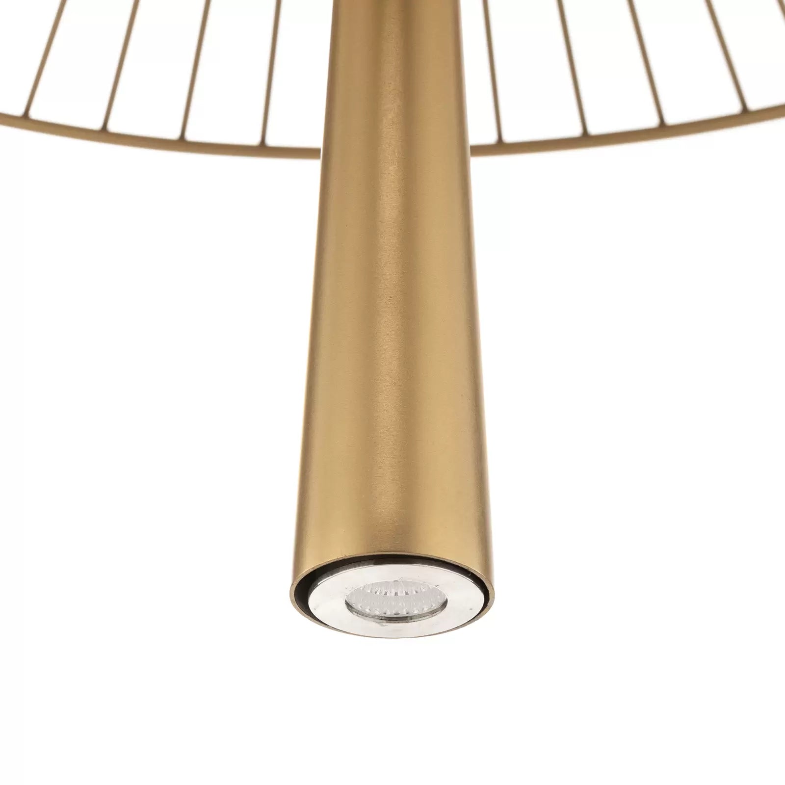 Schwerkraft II Zloty Hanging Lampe