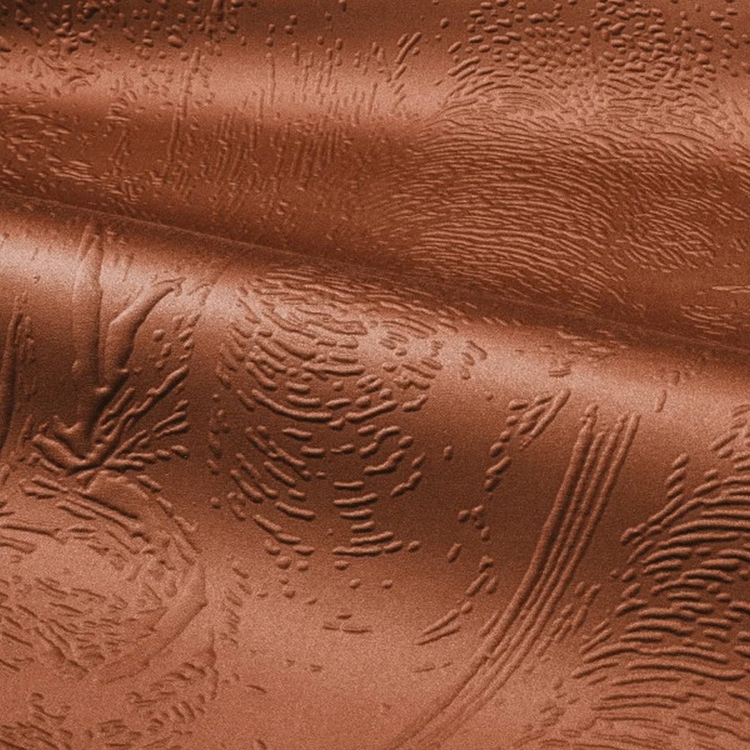 3D Textured Textile Mural with Animal Motif MAXIMUS - TERRACOTTA