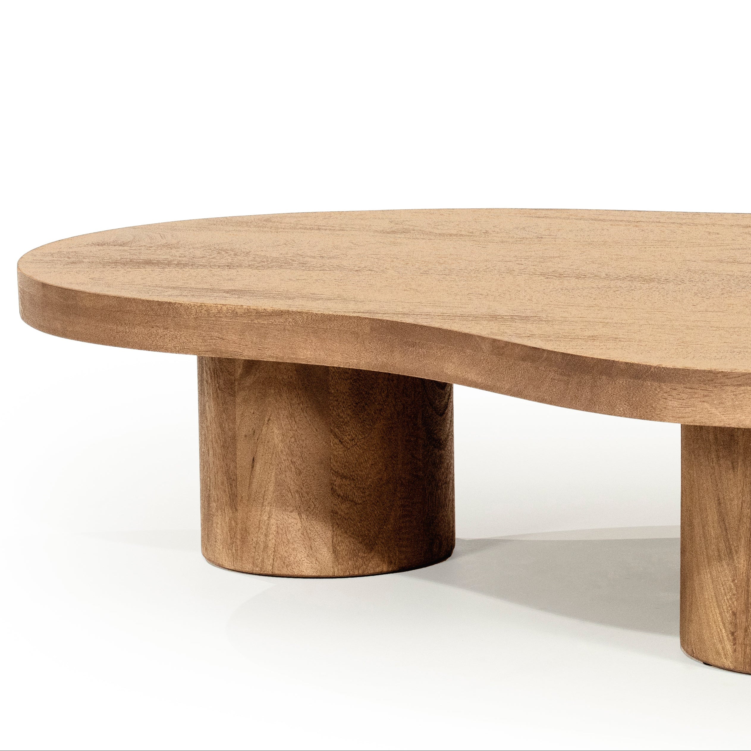 Couchtisch CHARLIE Mango-Holz