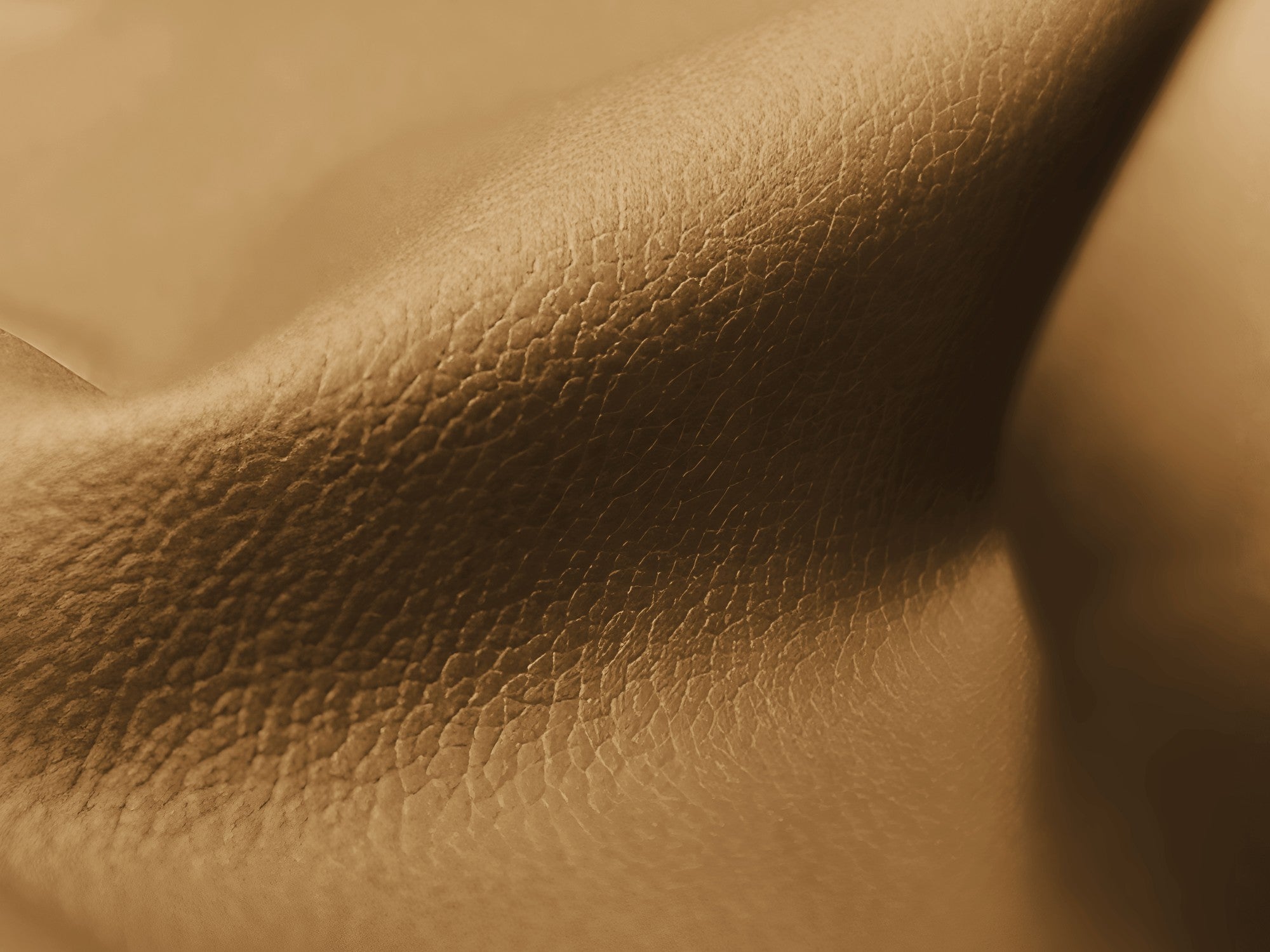 Modular 2-Seater Sofa ALOHA Caramel Eco-Leather