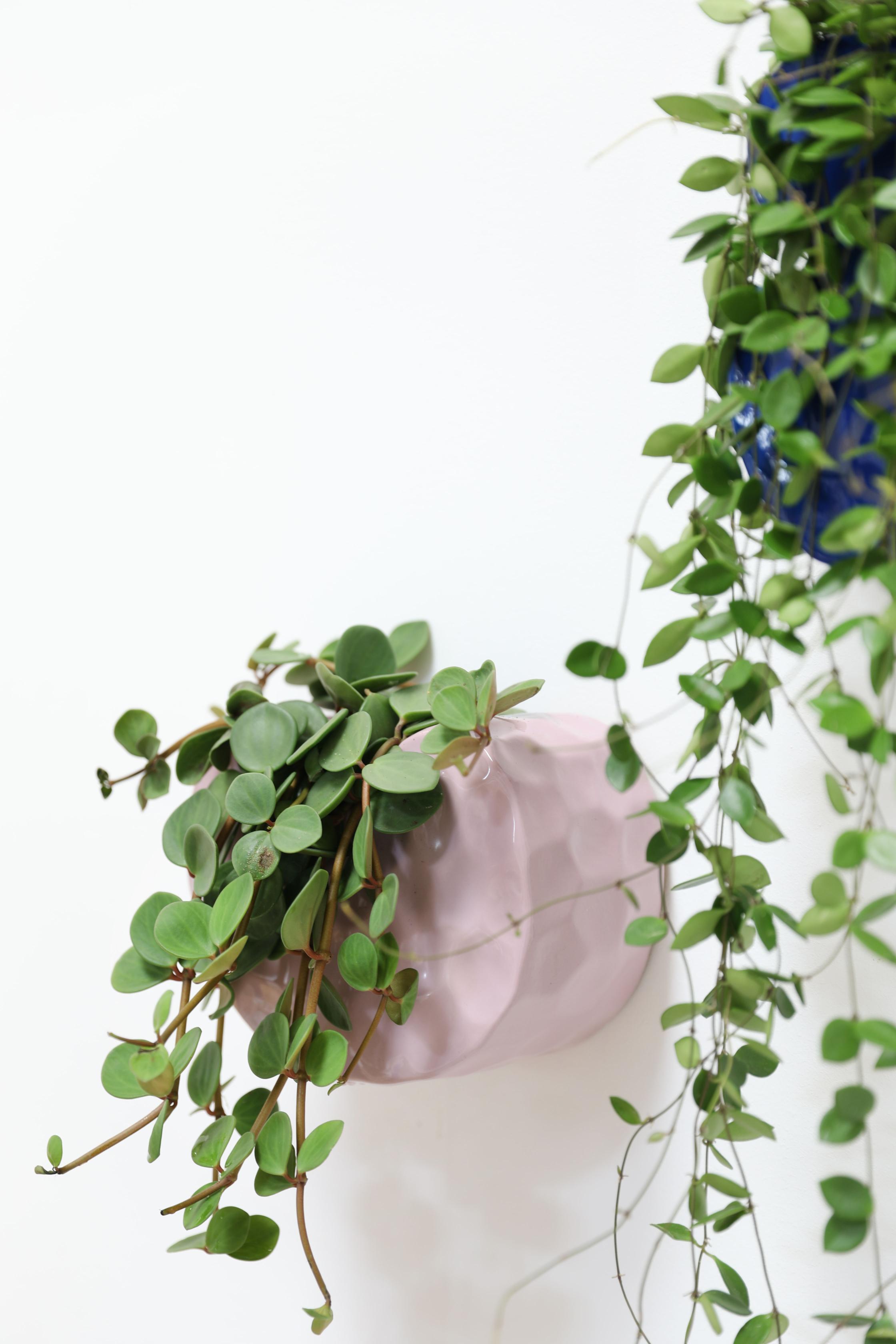 Wandtopf CLAY lila