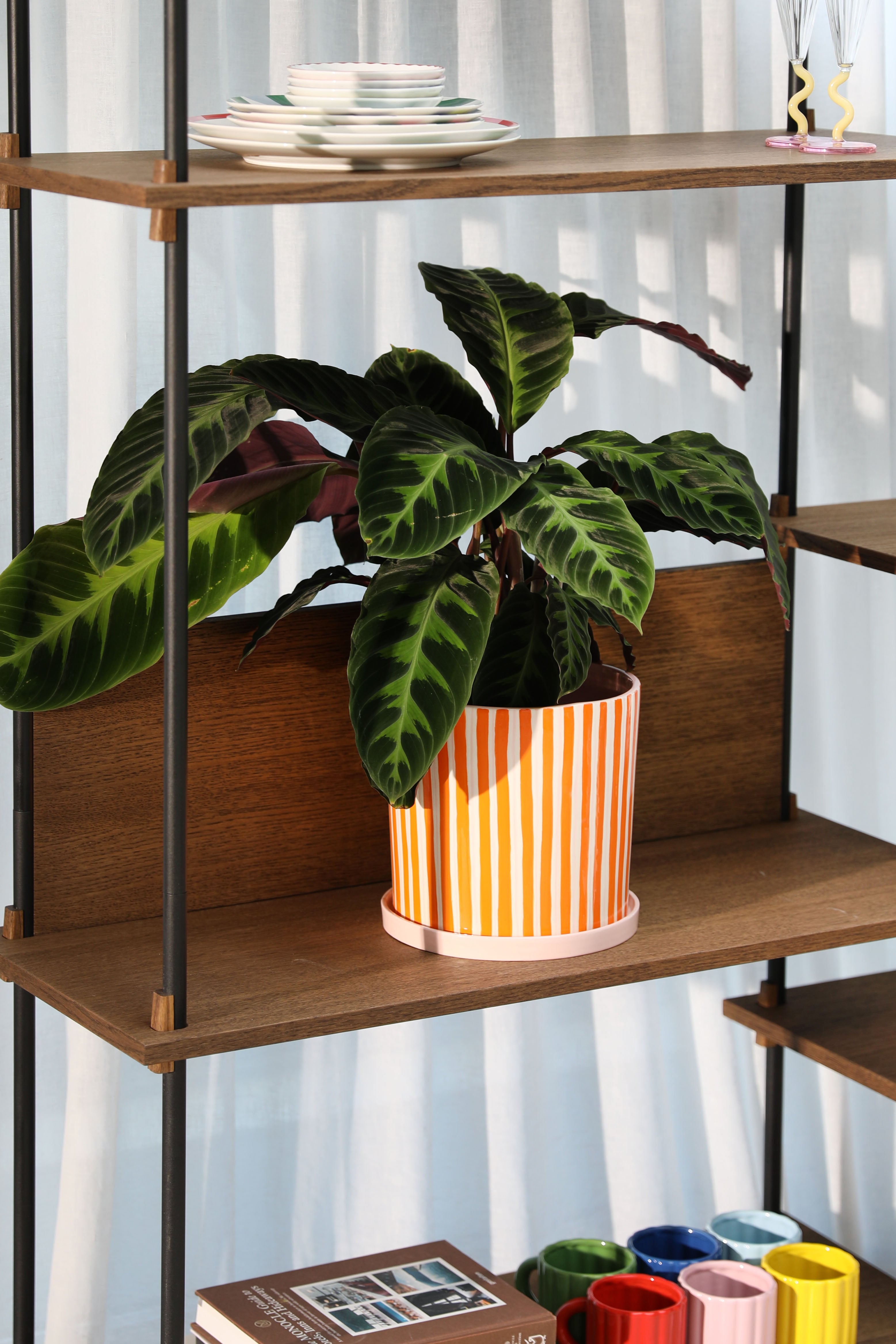 Bloempot RAY oranje met wit en roze