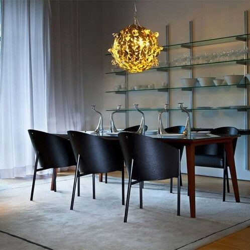 Costs chair olive veneer with beige leather