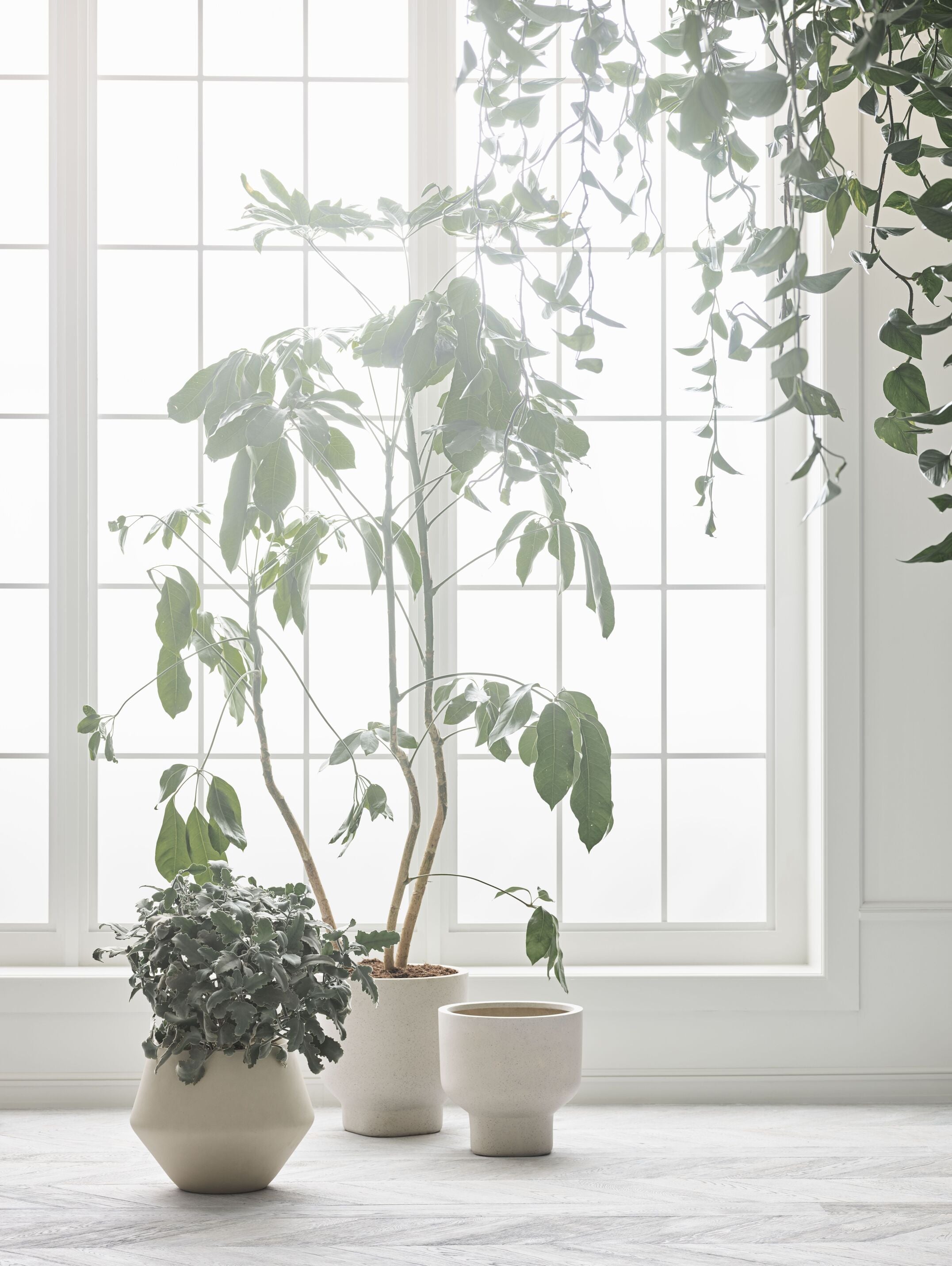 Donica GROVE crèmekleurige keramiek