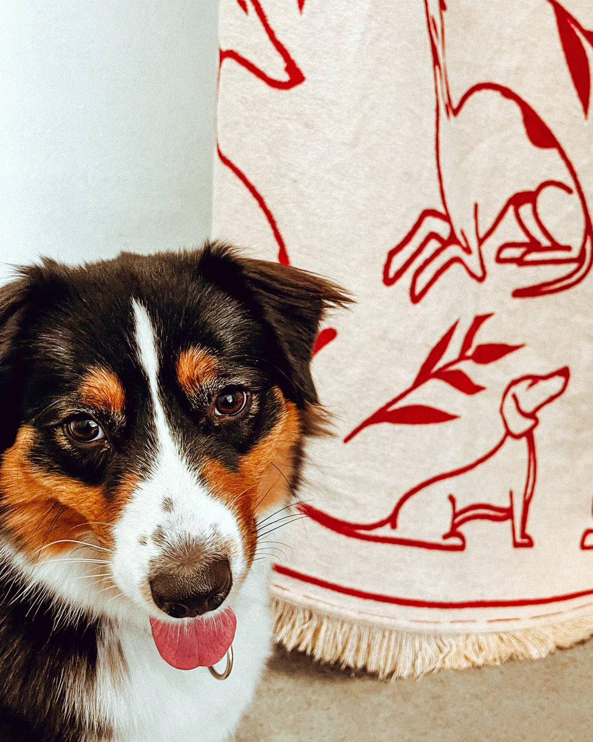 Koc PAWFECT sandbeige und bordeaux