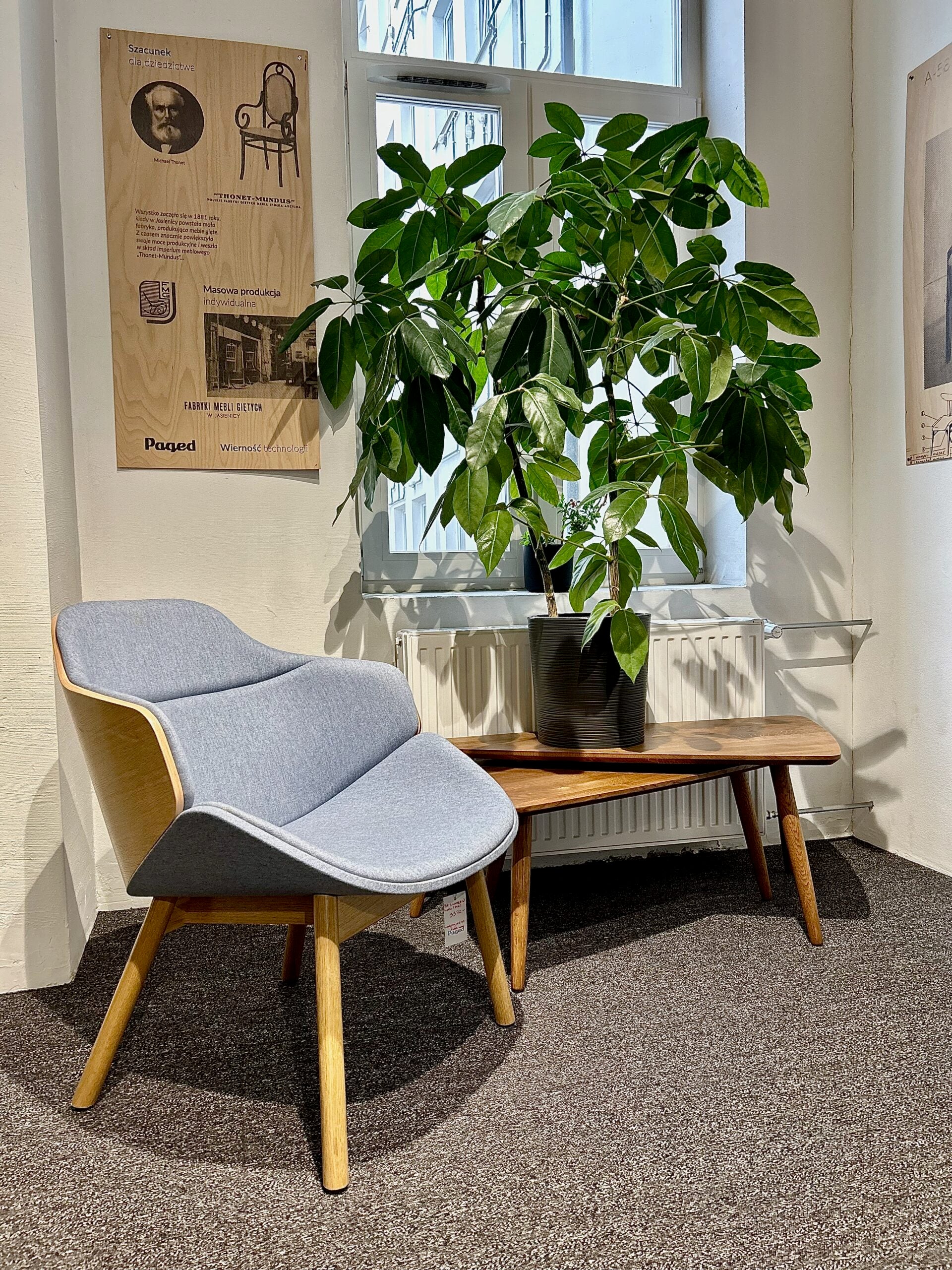 Fauteuil ARIA M-5350 gestoffeerd