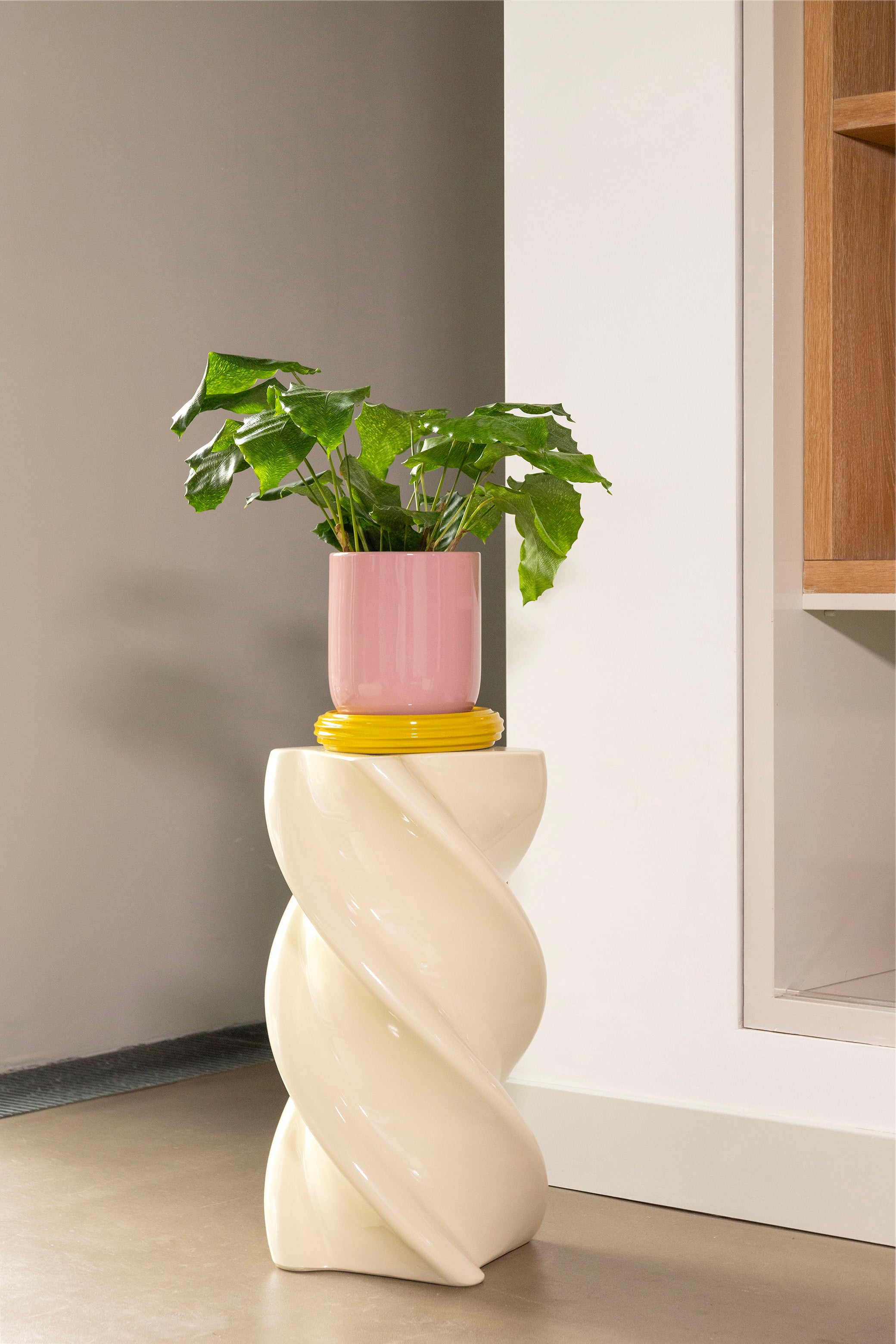 CHURROS pot in pink with a yellow saucer
