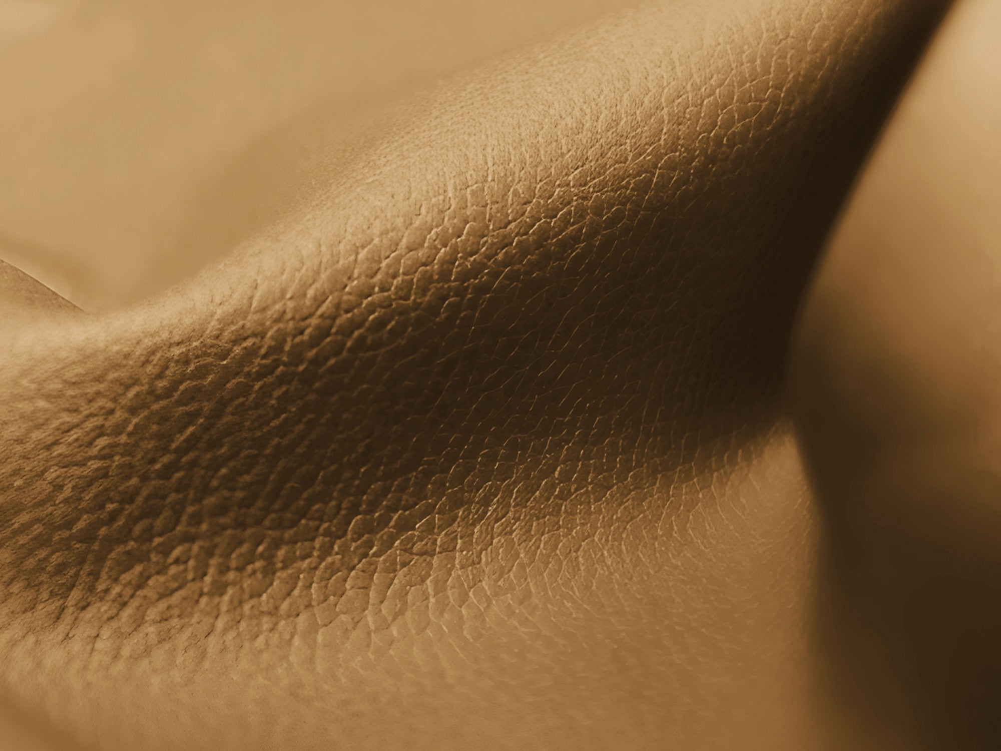 Modulaire 2-zitsbank LOKUA karamelkleurig ecologisch leer