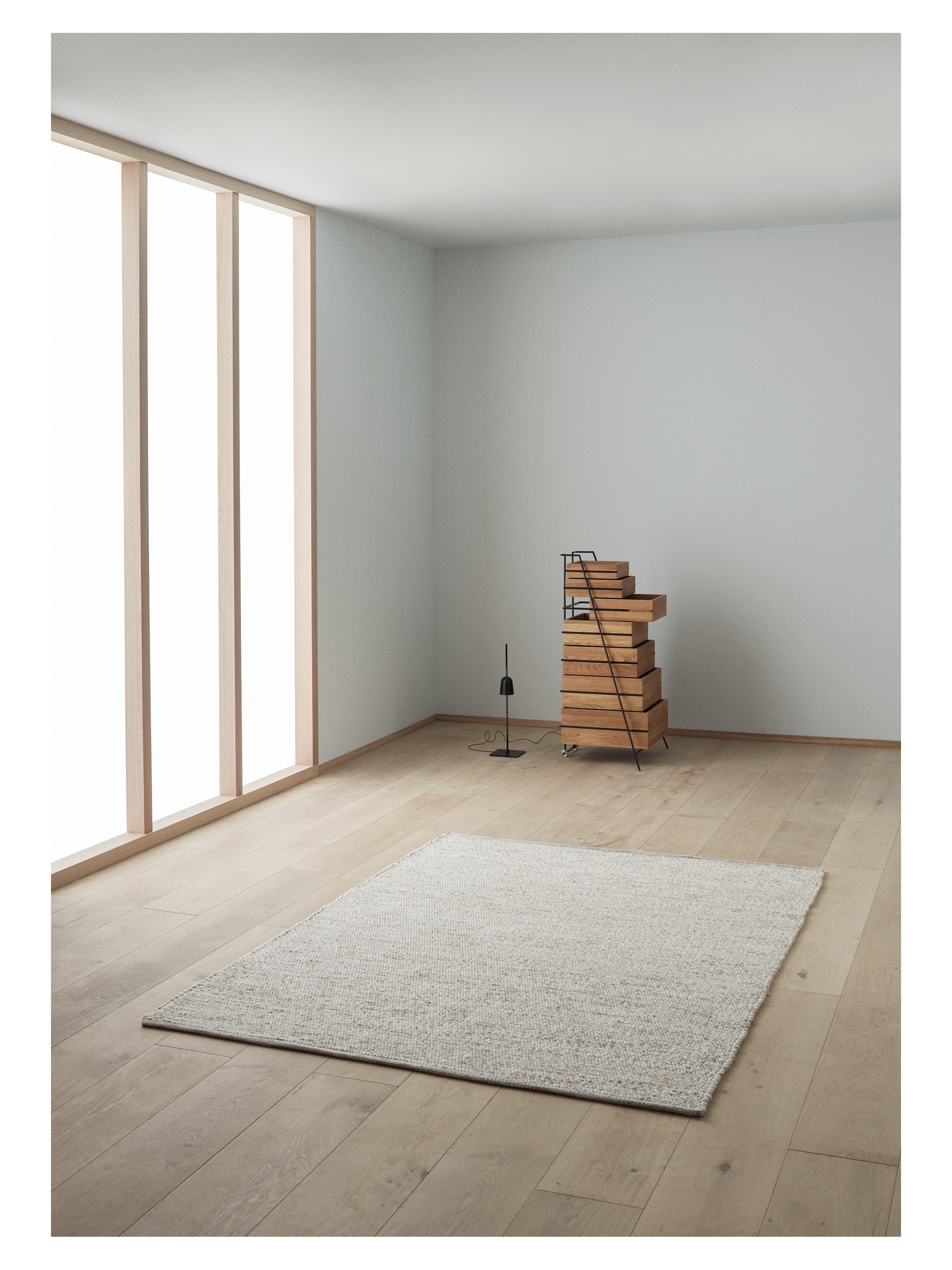Agner beige rug