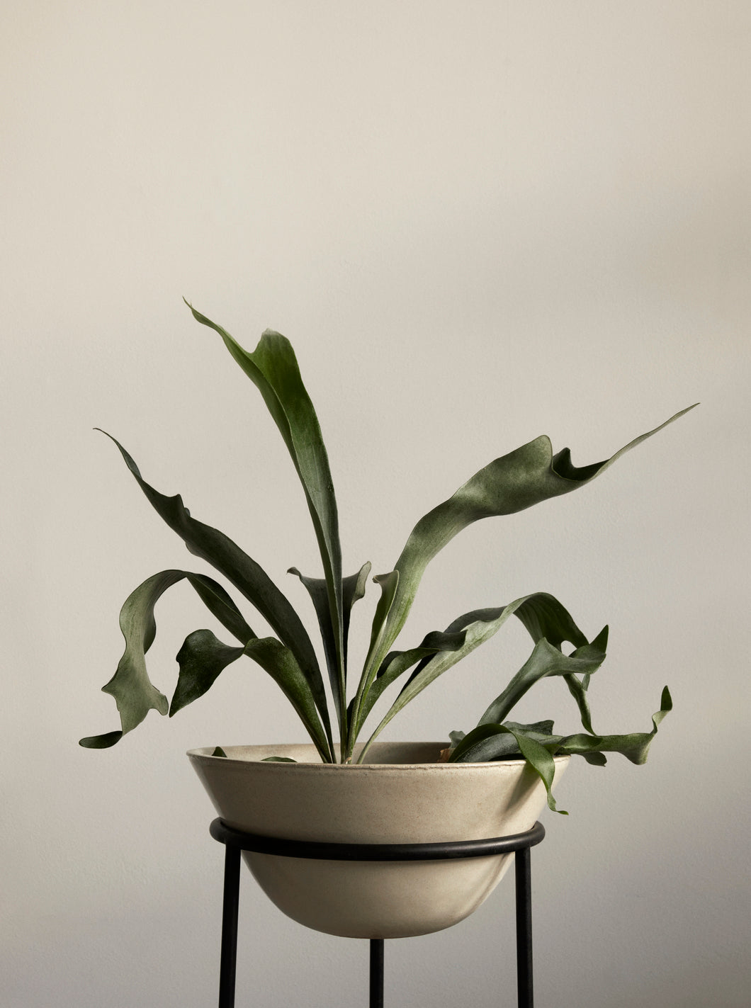 Donica DAIZA keramiek