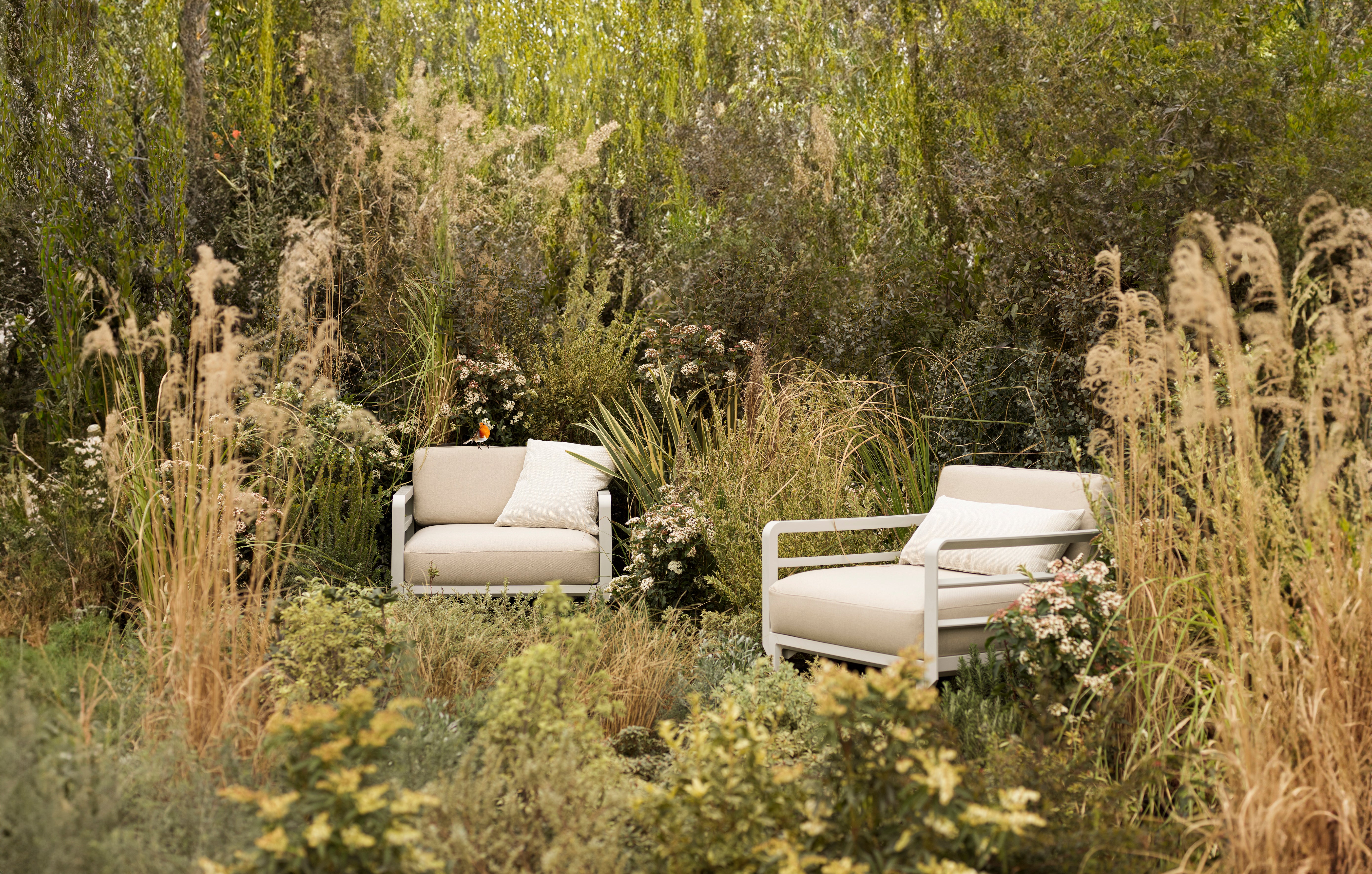 MAXIMO Outdoor Armchair in Thyme Green with Graphite Base