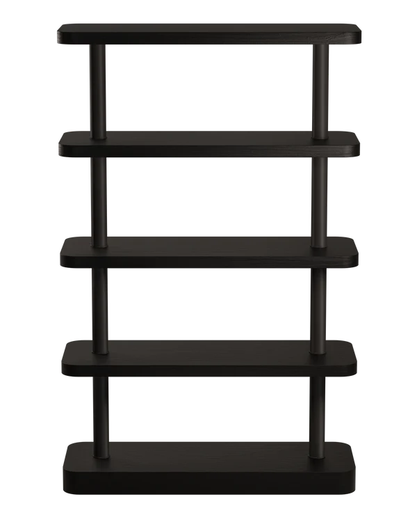 Modulaire kast in zwart fineer met zwarte elementen