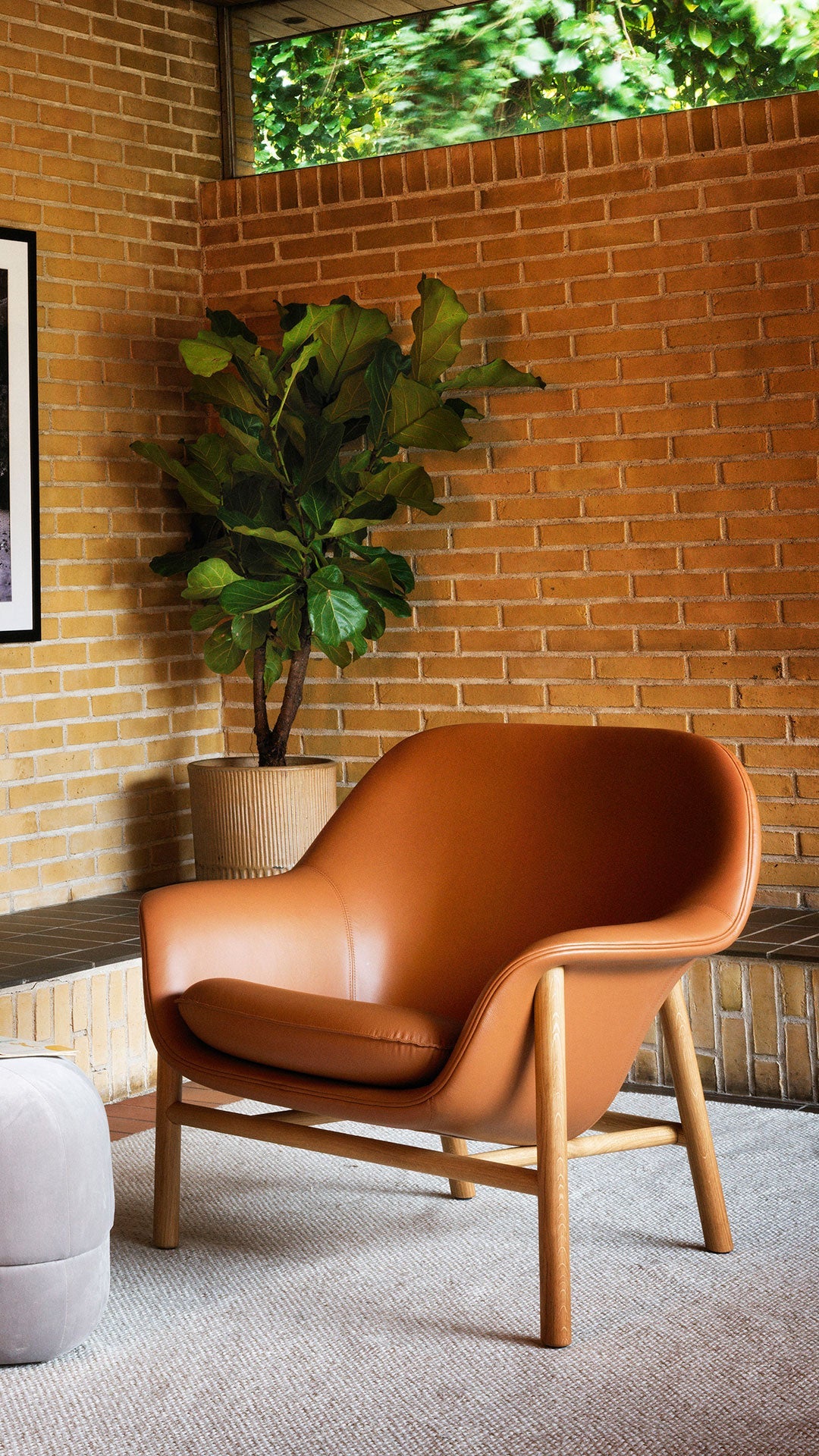 Drape Low armchair with a black oak base