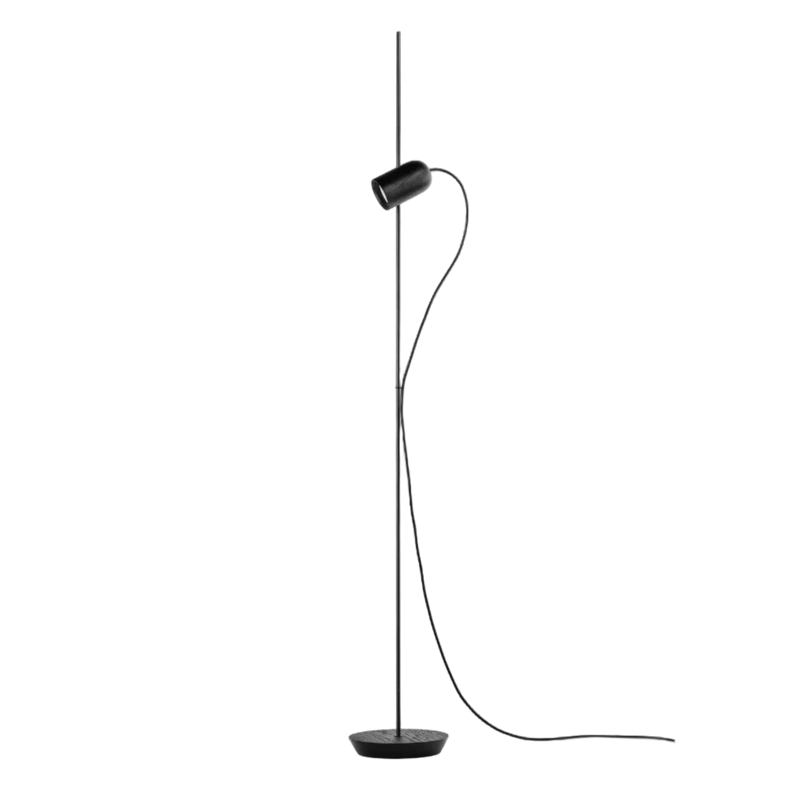 ONFA Floor Lamp in Black Ash Wood with Graphite Finish