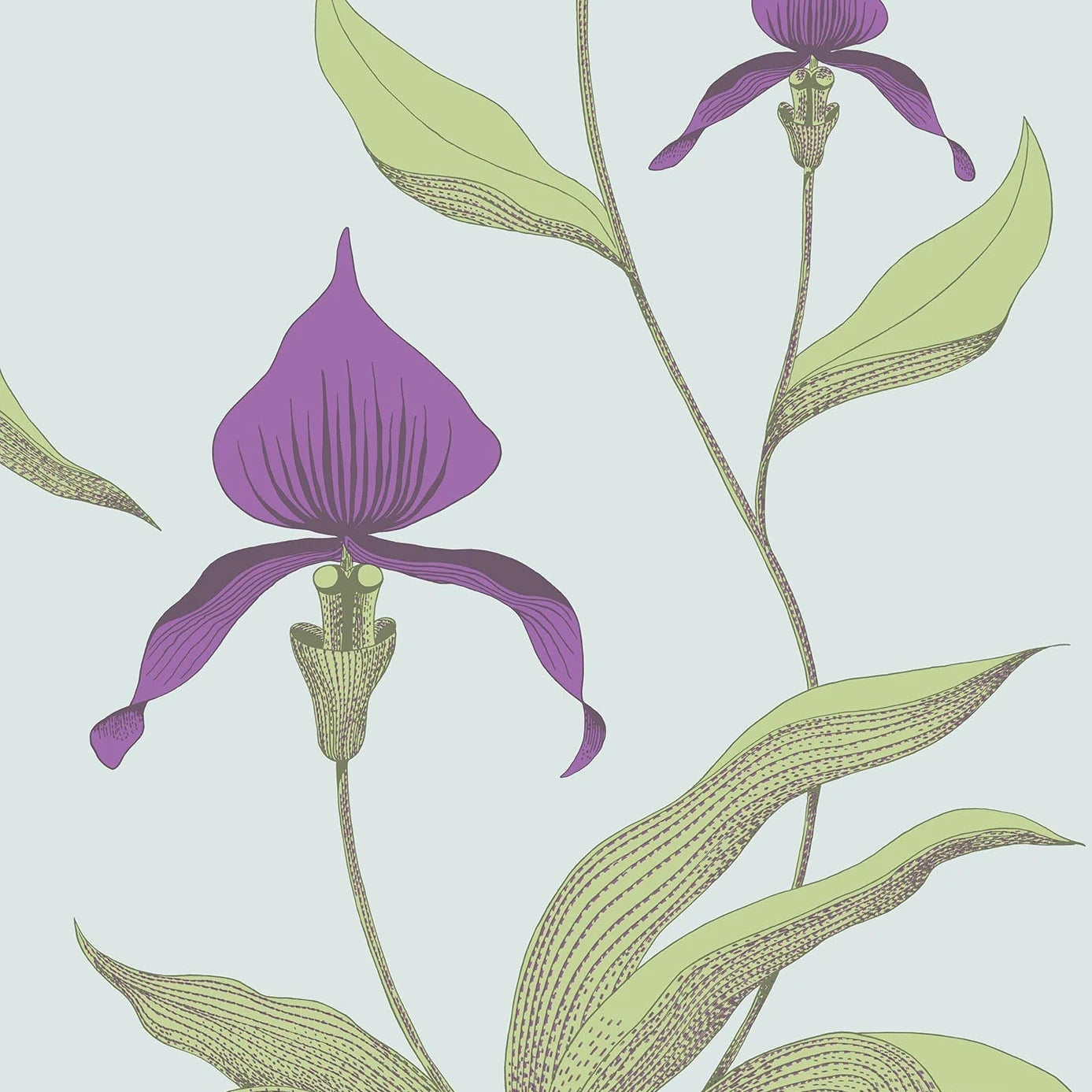 Tapete mit Pflanzenmotiv von Orchideen CONTEMPORARY COLLECTION - ORCHID lila mit grün