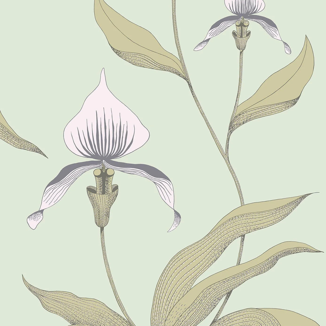 Behang met een plantmotief van orchideeën CONTEMPORARY COLLECTION - ORCHID zandkleurig met groen