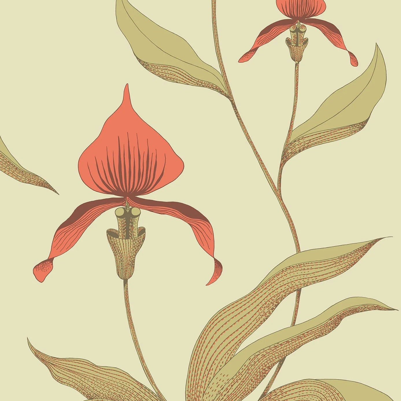 Behang met een plantmotief van orchideeën CONTEMPORARY COLLECTION - ORCHID olijfgroen met oranje