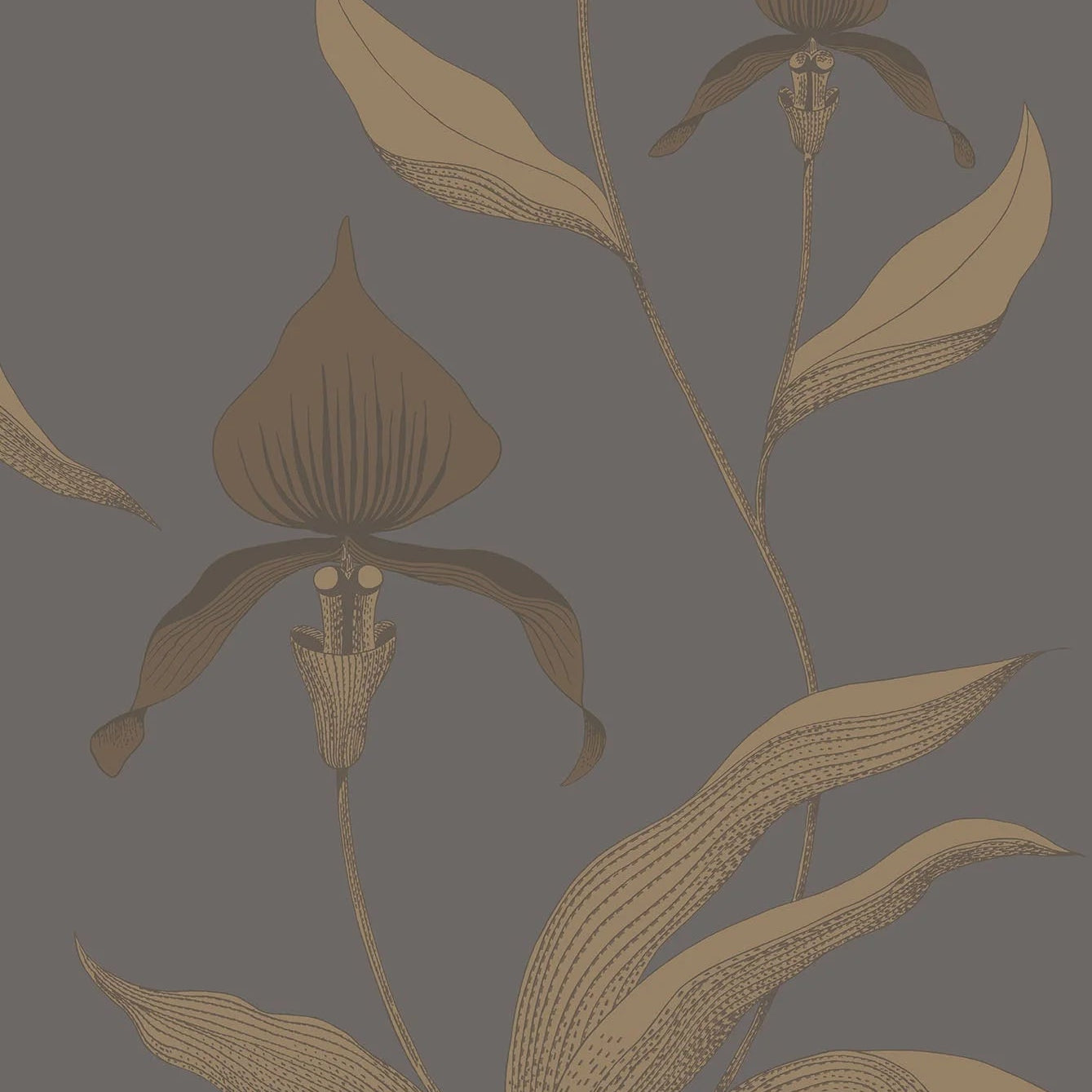 Behang met plantenmotief van orchideeën CONTEMPORARY COLLECTION - ORCHID bruin met donkergrijs