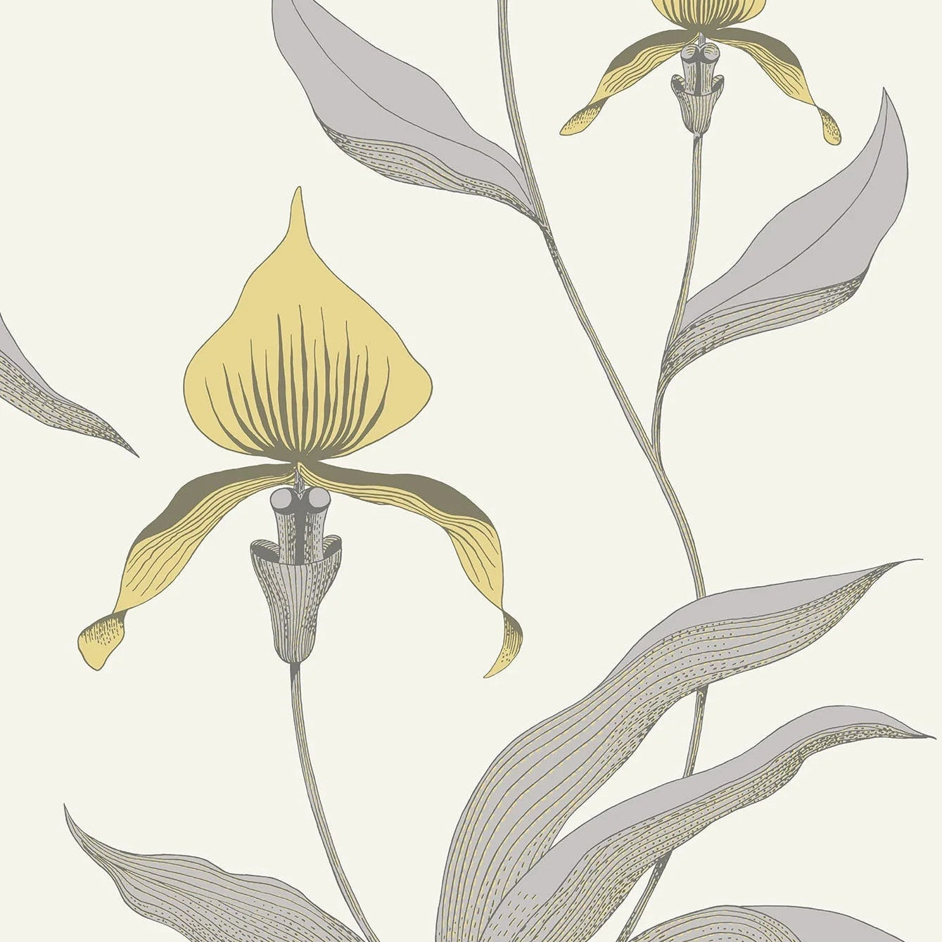 Behang met een plantenmotief van orchideeën CONTEMPORARY COLLECTION - ORCHID geel met grijs