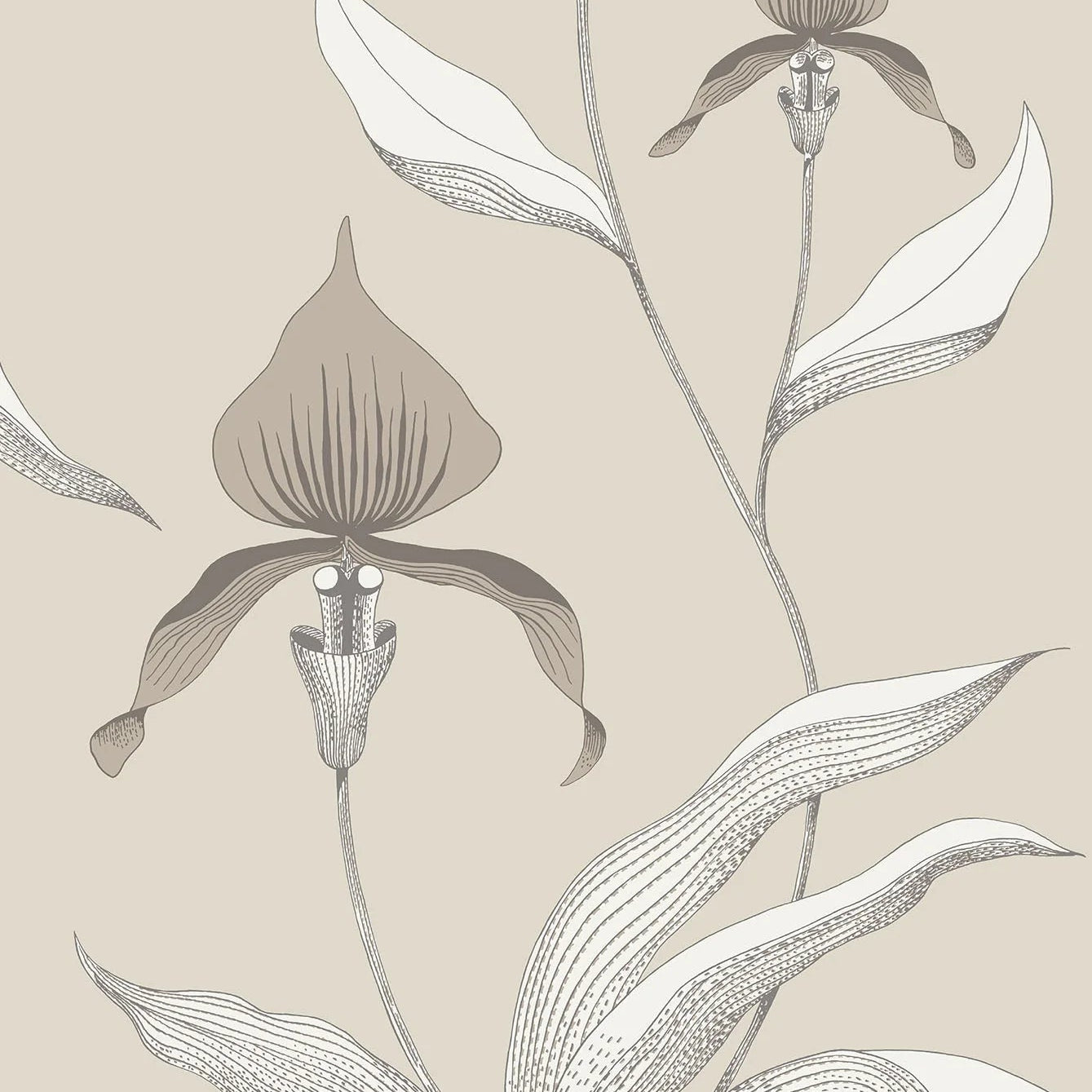Behang met een plantenmotief van orchideeën CONTEMPORARY COLLECTION - ORCHID taupe met bruin