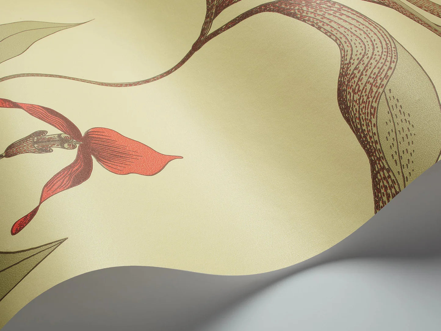 Behang met een plantmotief van orchideeën CONTEMPORARY COLLECTION - ORCHID olijfgroen met oranje