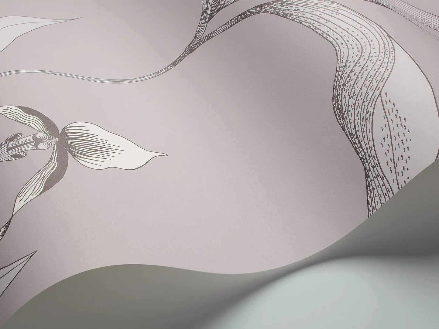 Behang met plantmotief van orchideeën CONTEMPORARY COLLECTION - ORCHID wit met grijs