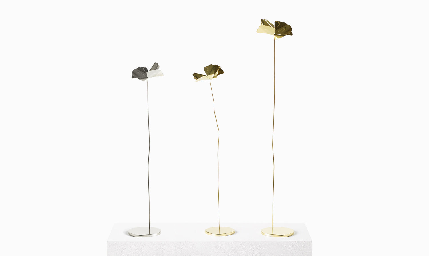 Dekoration PAPAVERO gold