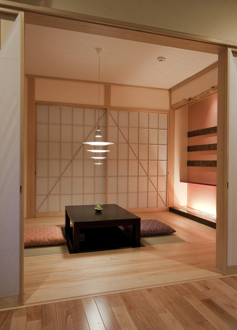 ENIGMA aluminum pendant lamp