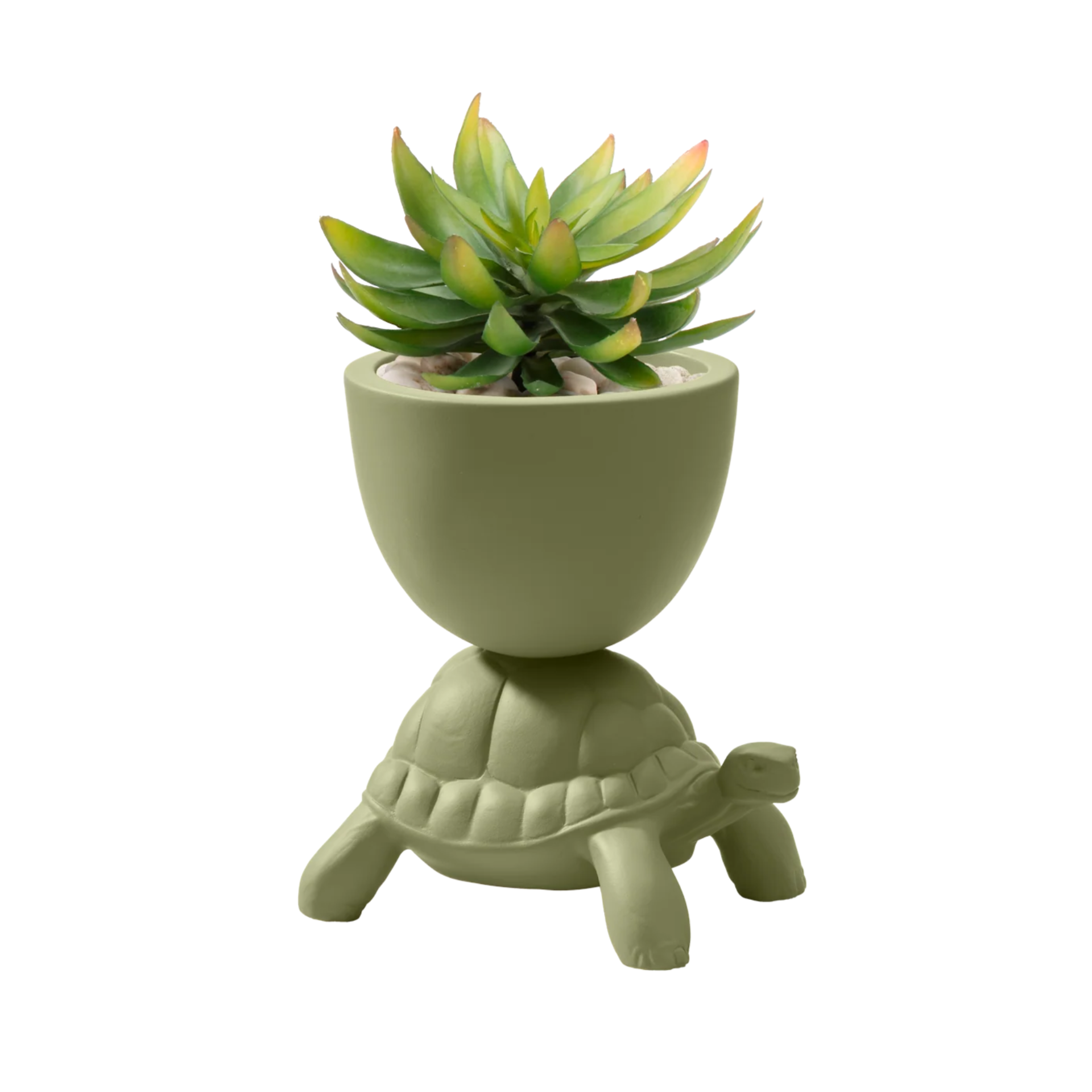 Blumentopf TURTLE CARRY grün