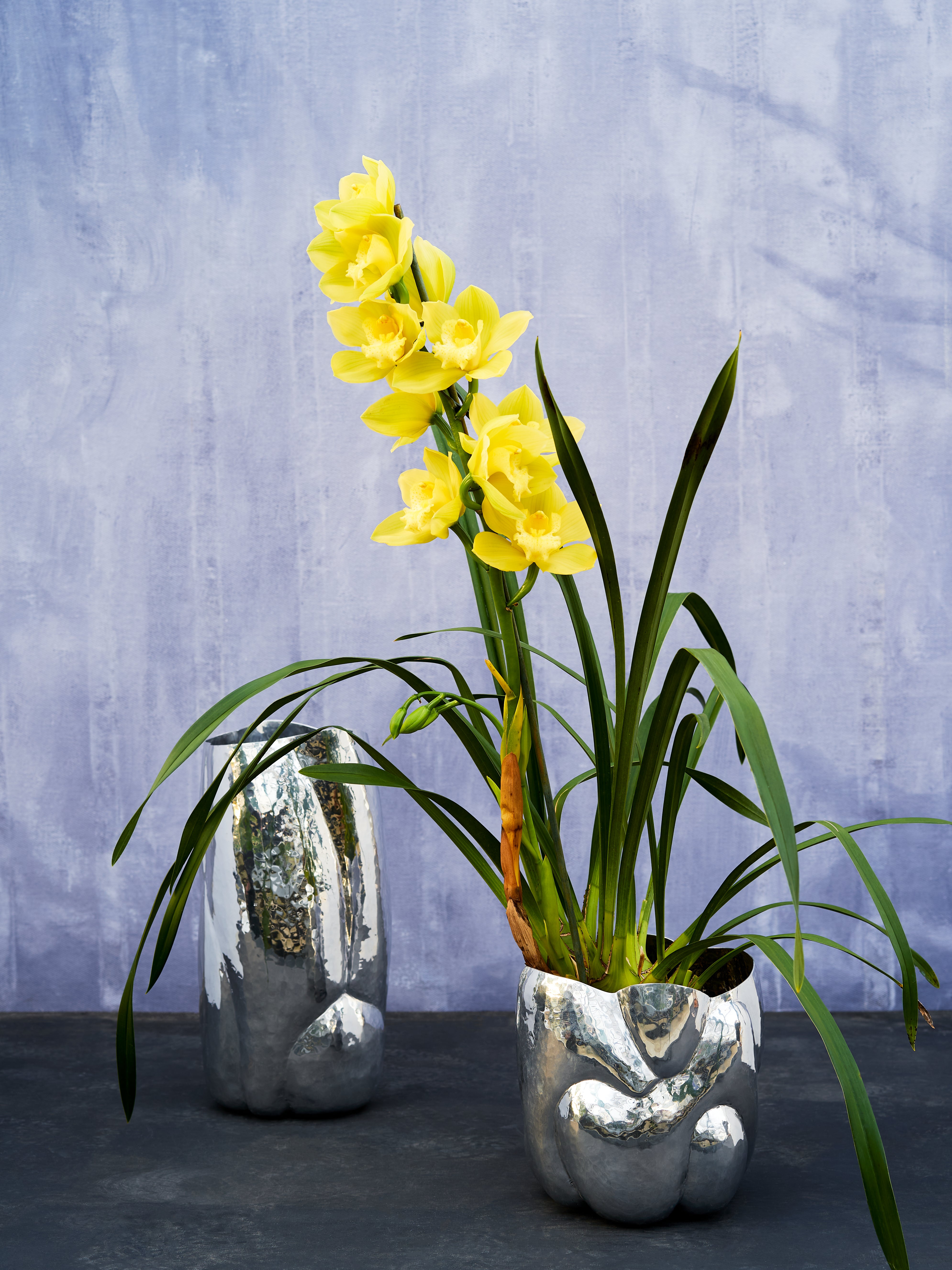 Vaas CLOUD aluminium