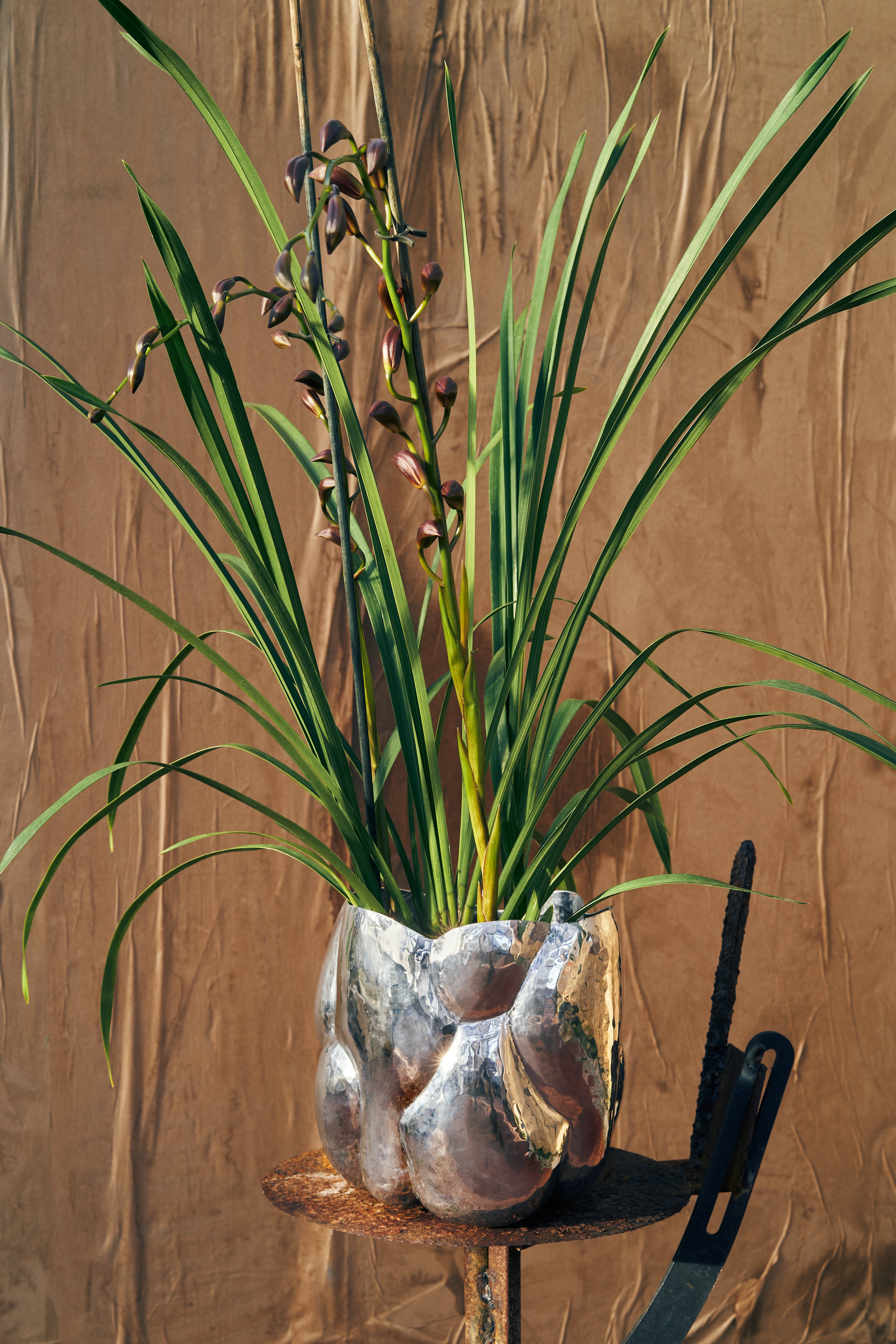 Vaas CLOUD aluminium