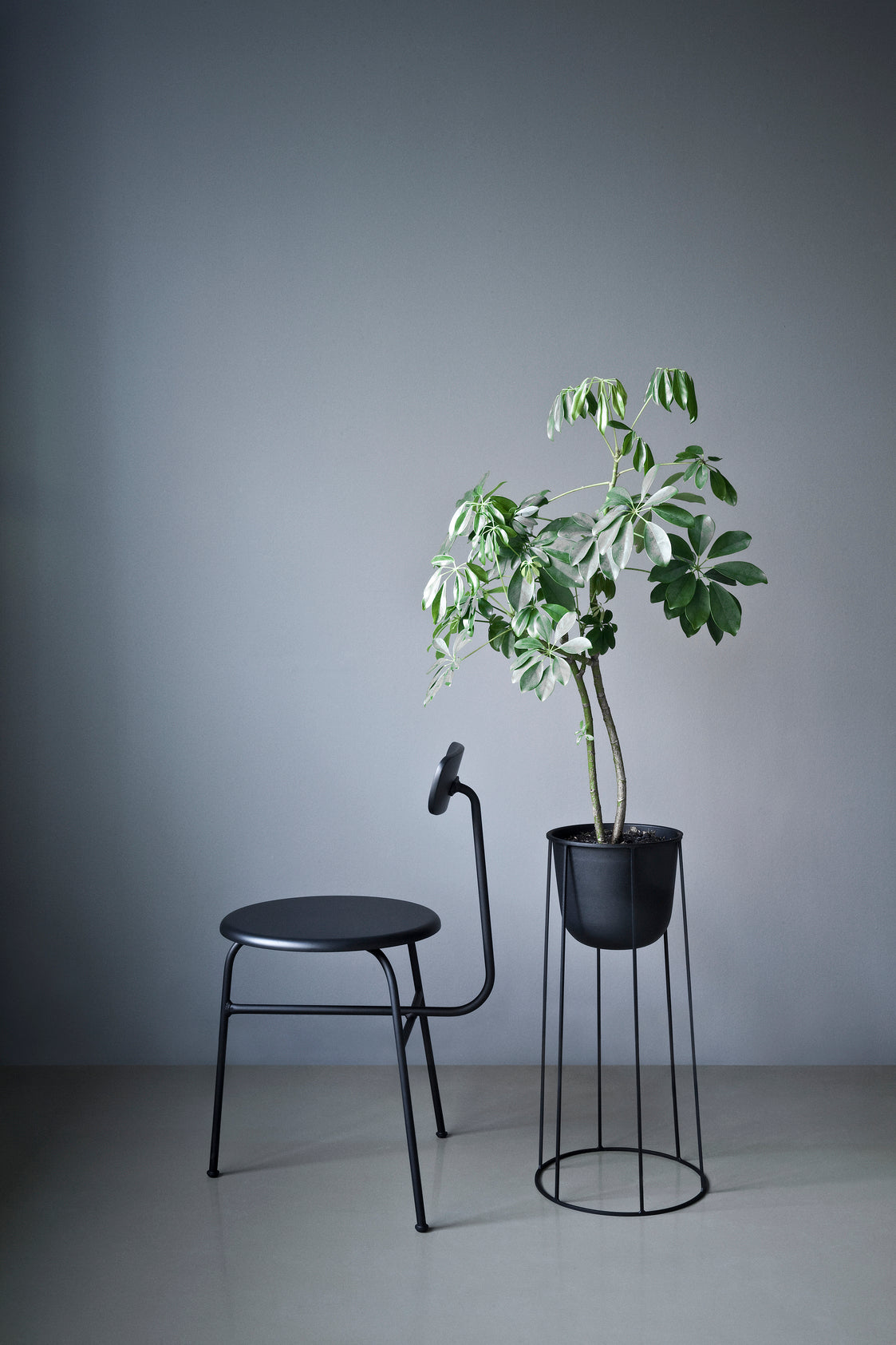AFTEROOM chair with oak veneer and upholstered beige seat