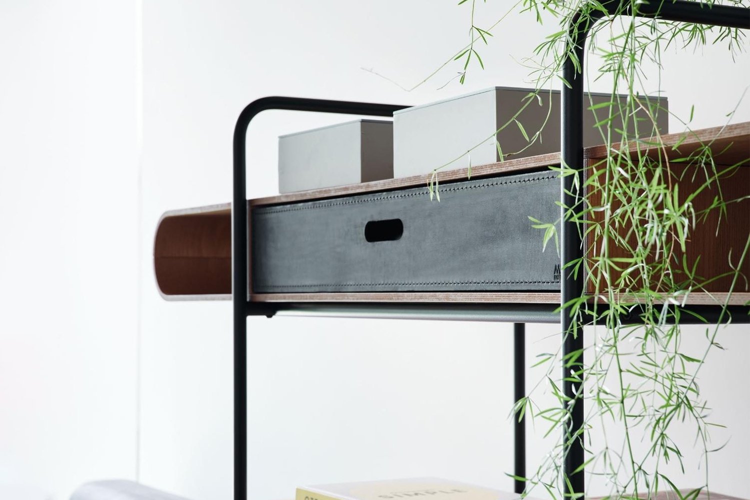 Personalisierter APELLE-Regal