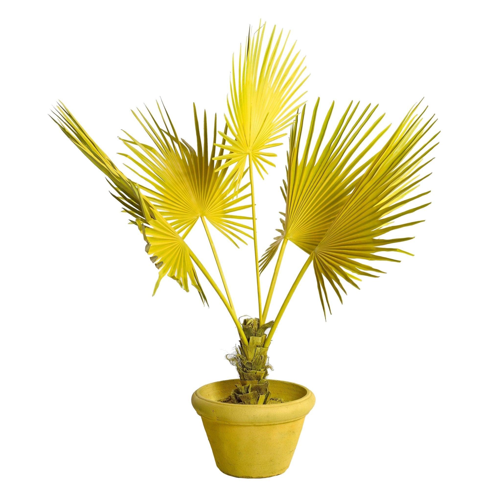 Dekoracja FAN PALM IN POT żółty Pols Potten Eye on Design