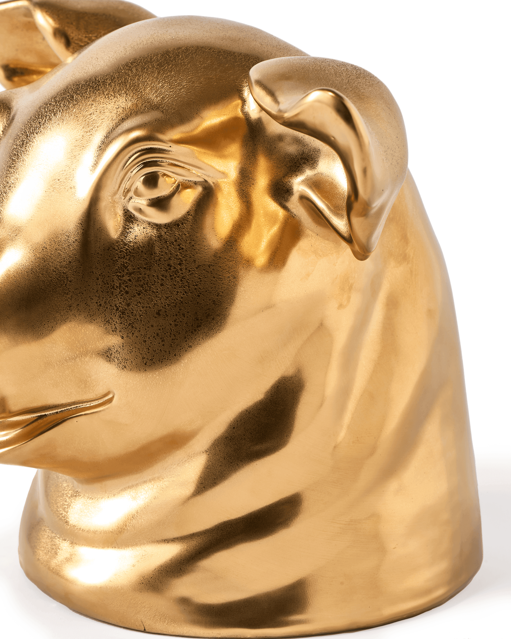 Dekoracyjna skarbonka DON'T EAT ME, SAVE ME - PIG złoty Pols Potten Eye on Design