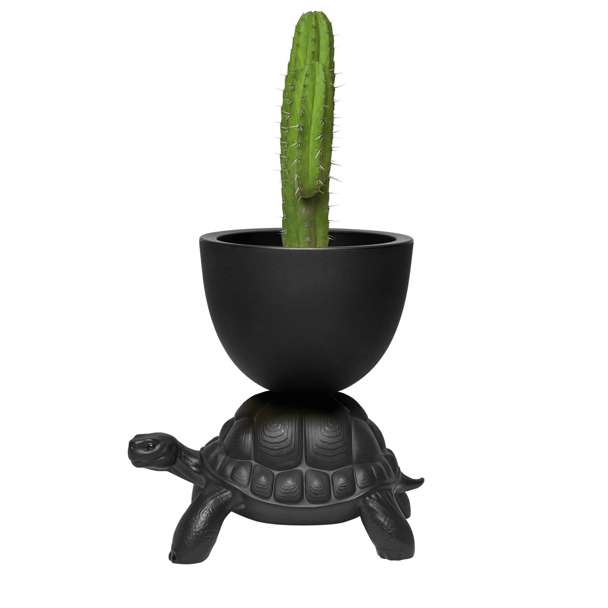 Doniczka TURTLE CARRY czarny Qeeboo Eye on Design