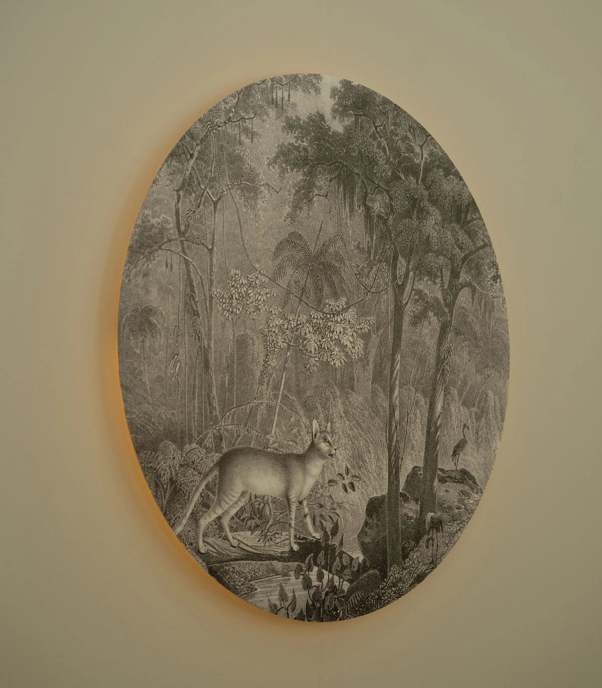 Wandlamp DOTS LIGHTING - JUNGLE CAT grijs