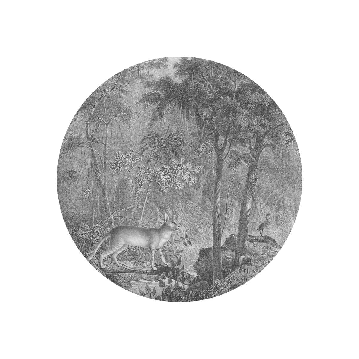 Wandlamp DOTS LIGHTING - JUNGLE CAT grijs