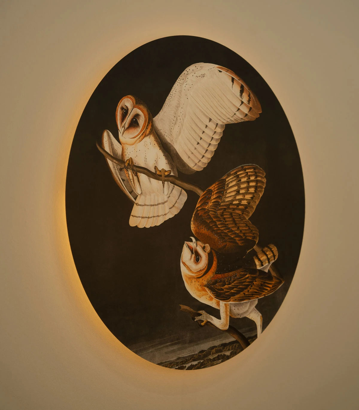 Wall Lamp DOTS LIGHTING - OWLS Dark Gray