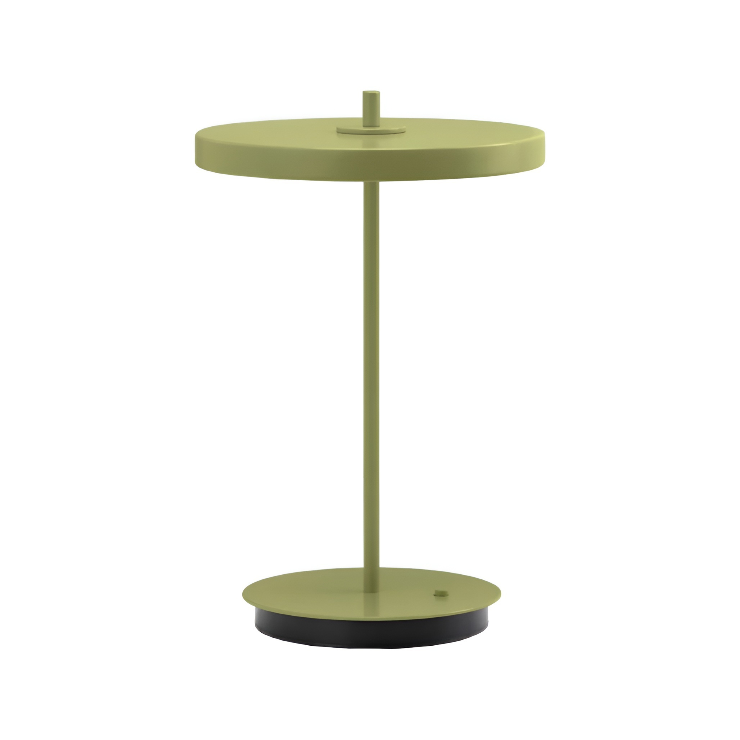 Portable lamp ASTERIA MOVE MONOCHROME green