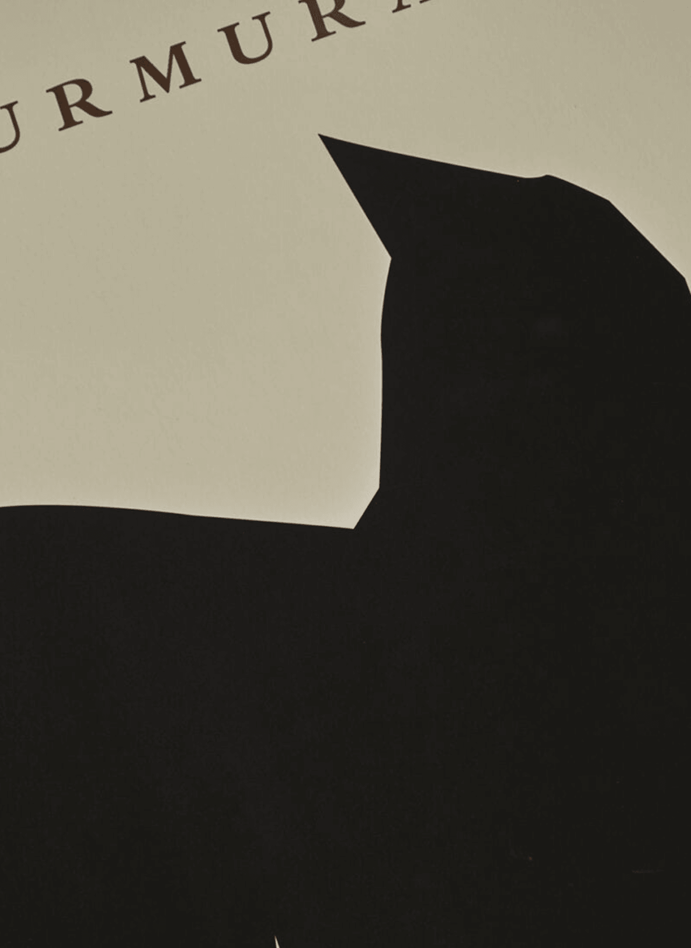 Grafika artystyczna MURMURATIONS SORT SOL The Poster Club Eye on Design