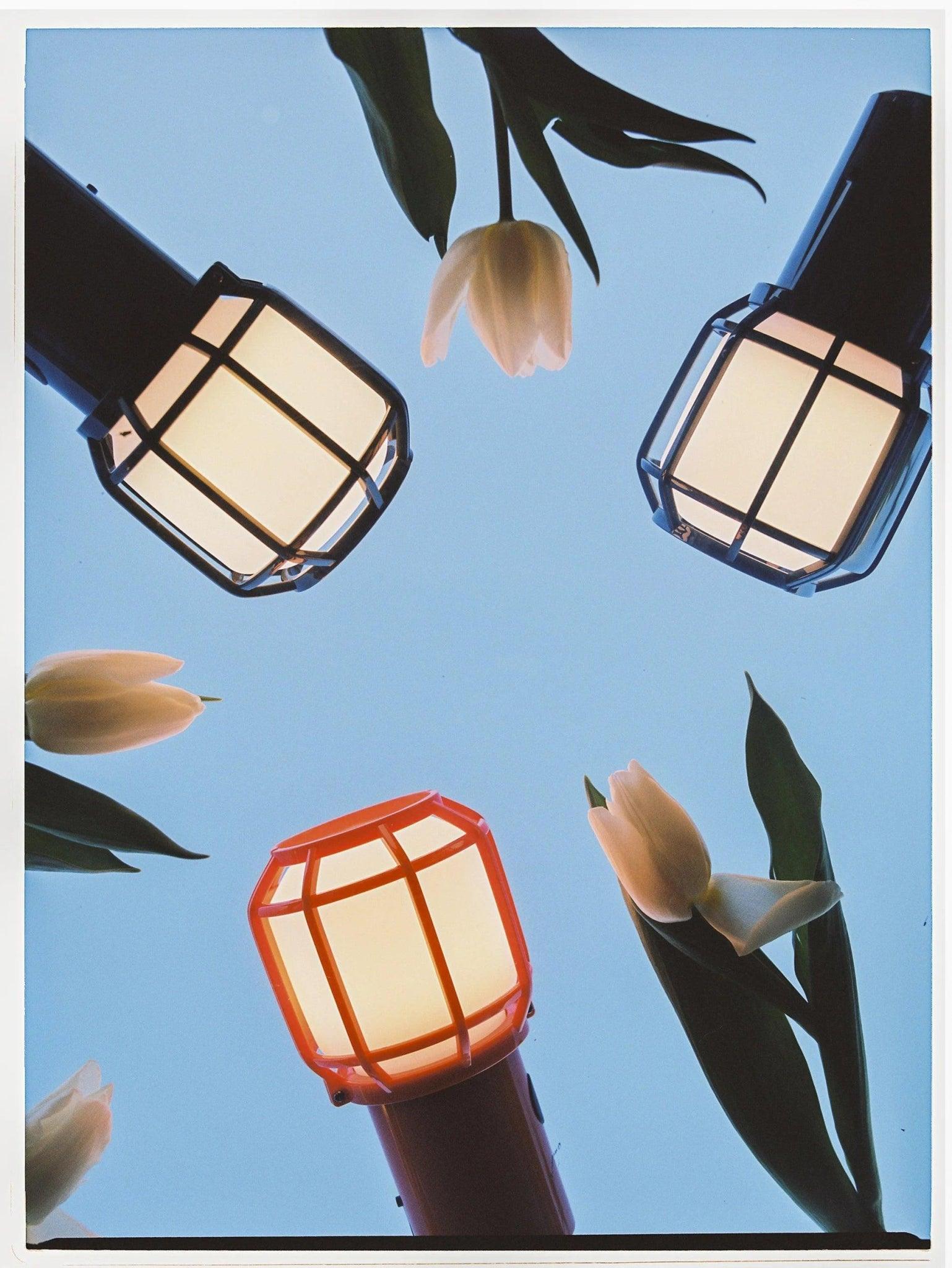 Lampa akumulatorowa CHISPA pomarańczowy Marset Eye on Design