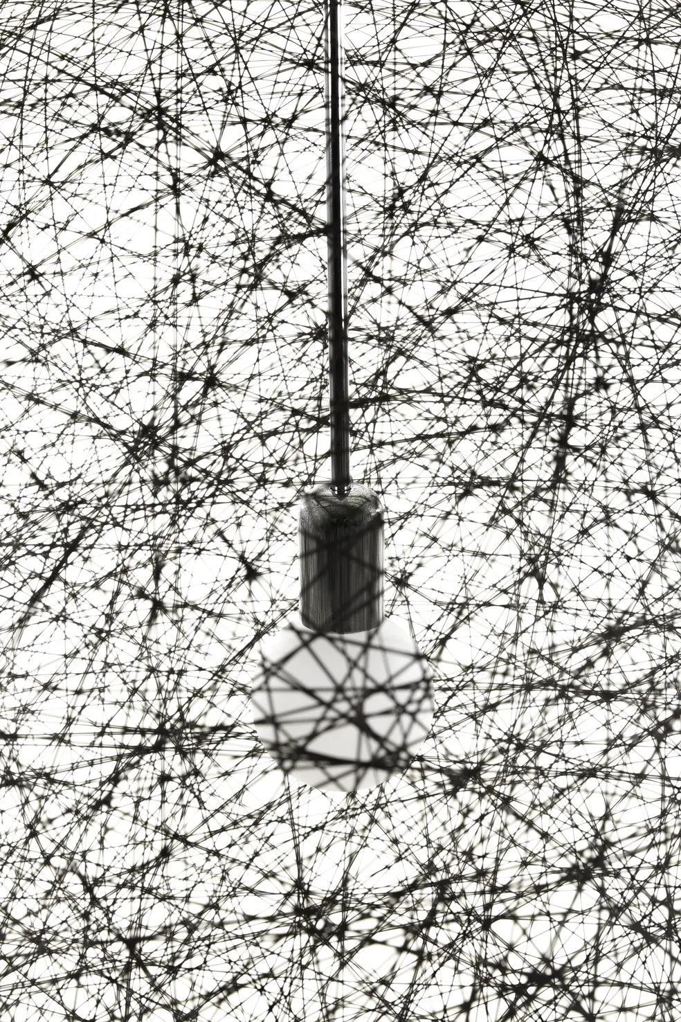 Lampa wisząca RANDOM LIGHT II czarny Moooi Eye on Design